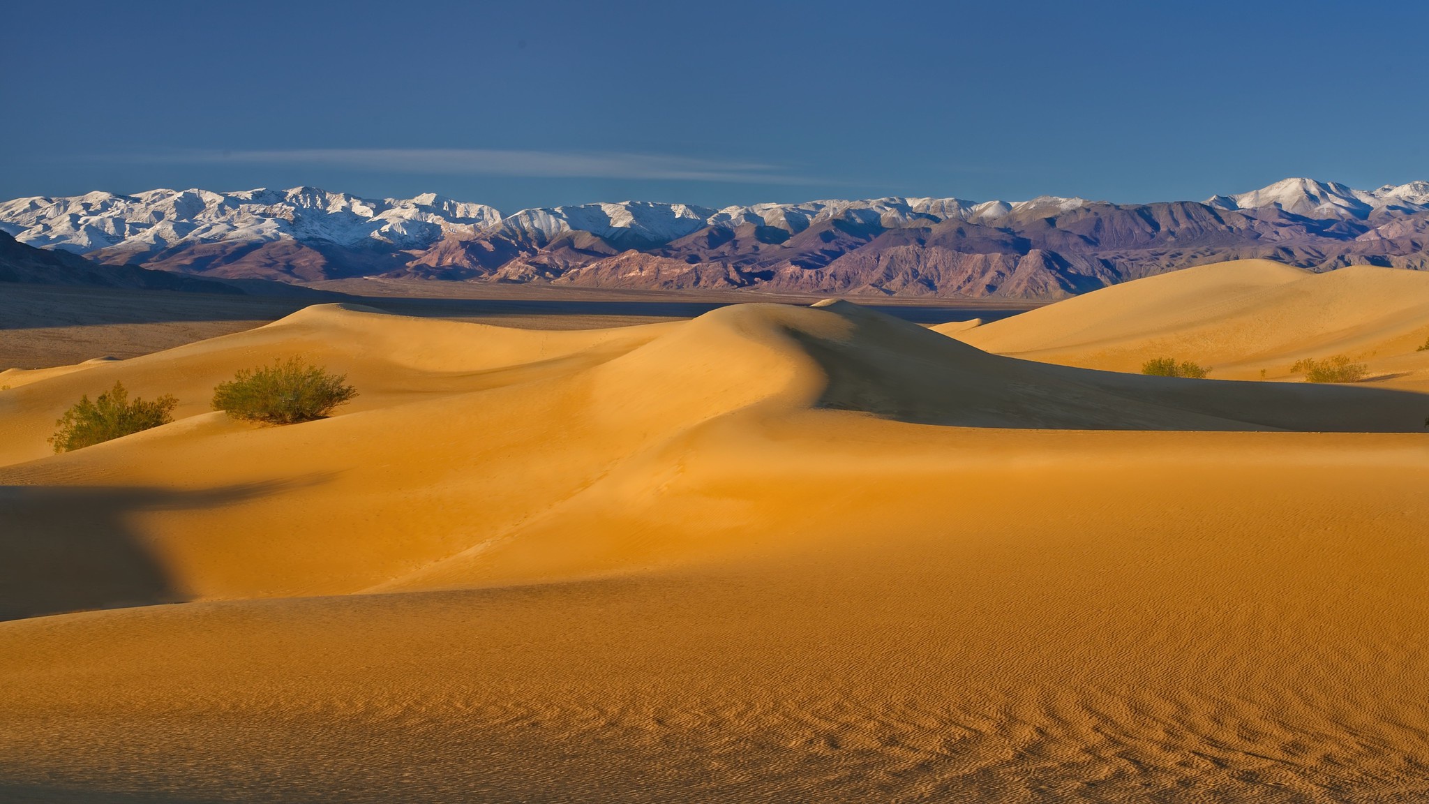 Desert Dune Landscape Nature 2048x1152