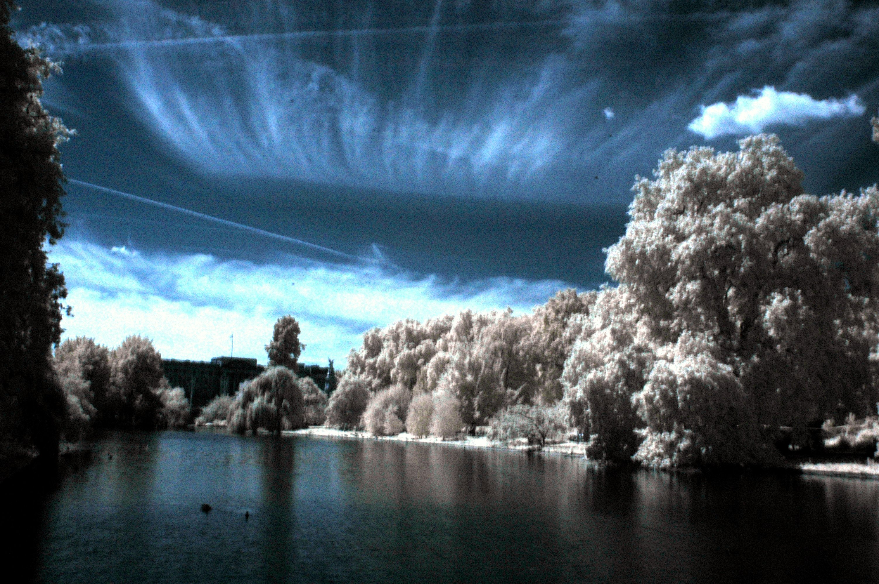 Photography Infrared 3008x2000