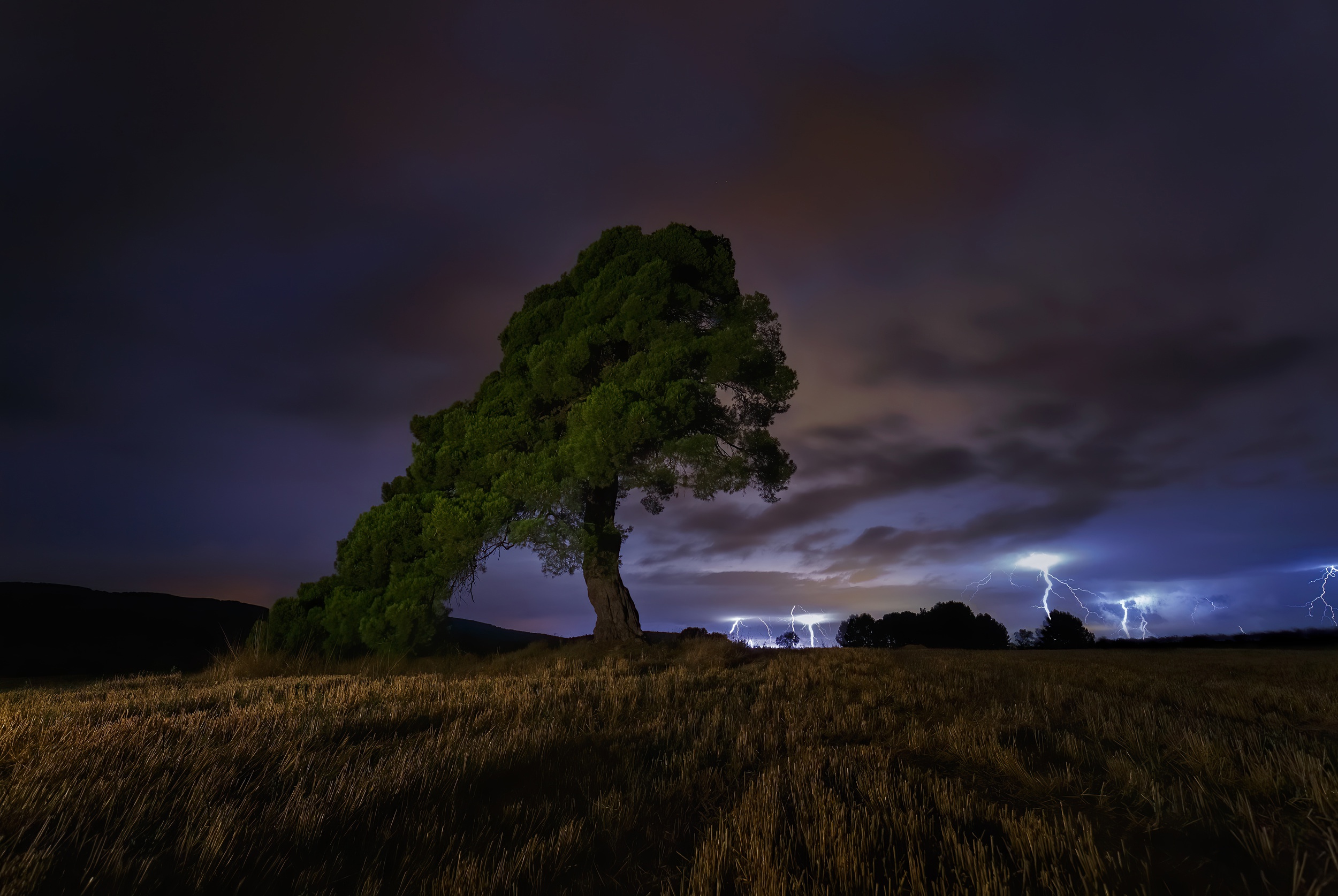 Field Lightning Nature Night Tree 2500x1674