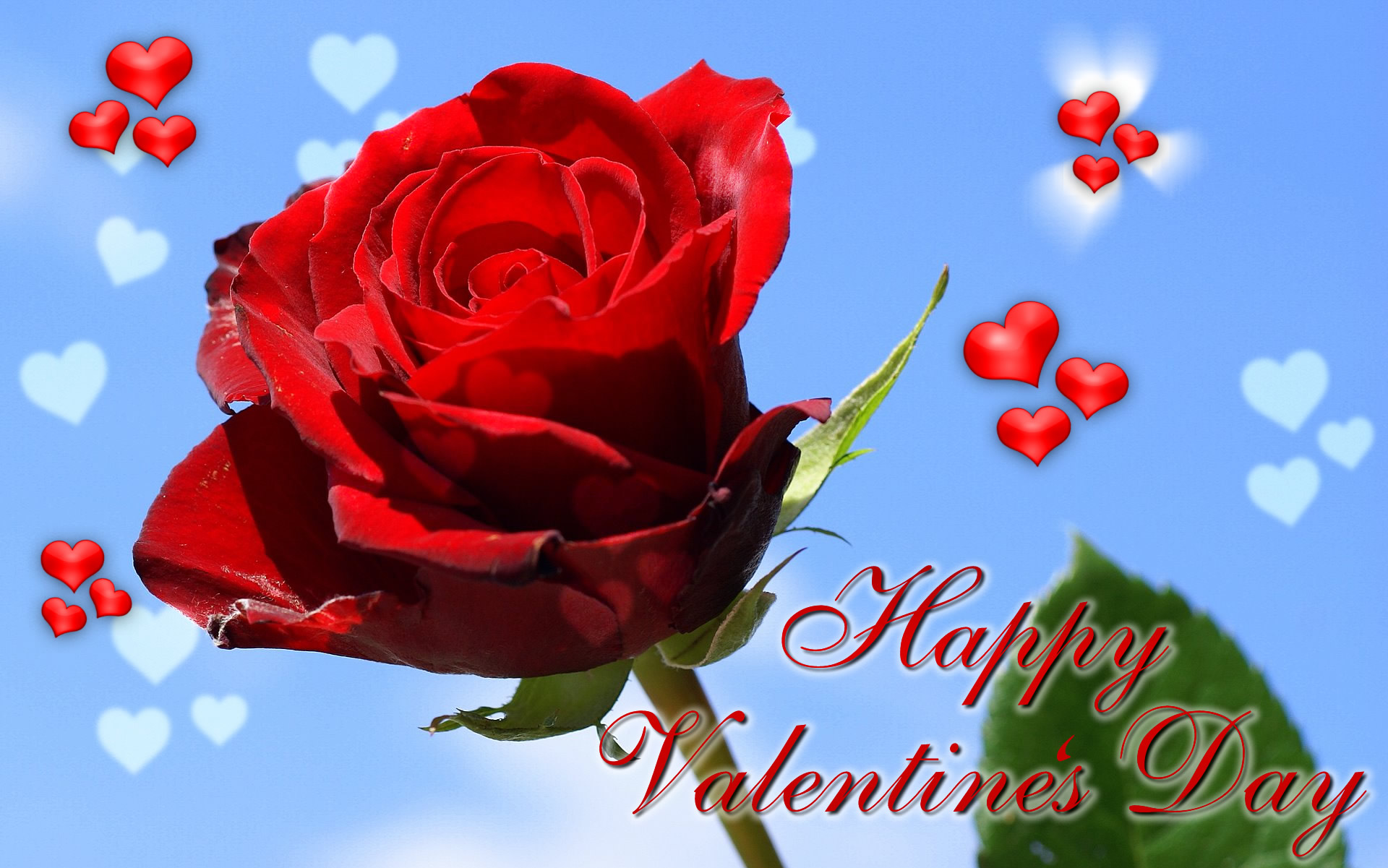 Flower Happy Valentine 039 S Day Heart Red Rose Rose Valentine 039 S Day 1920x1201