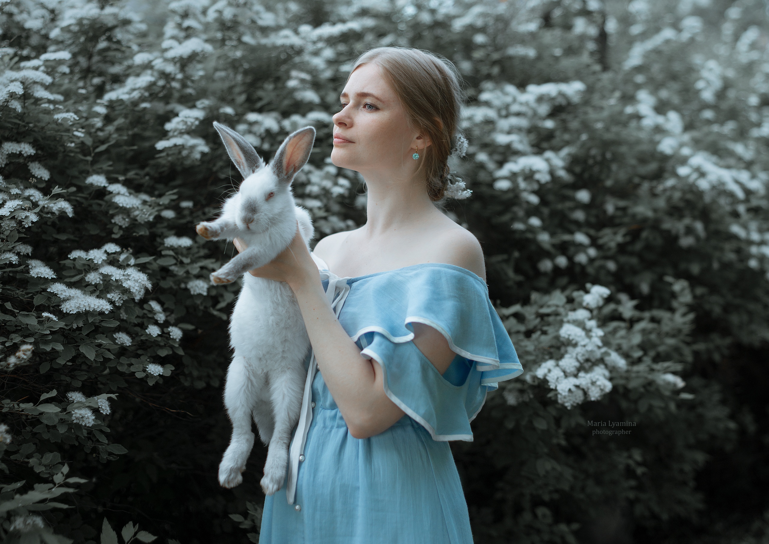 Women Portrait Blonde Blue Eyes Blue Dress Rabbits 2560x1810