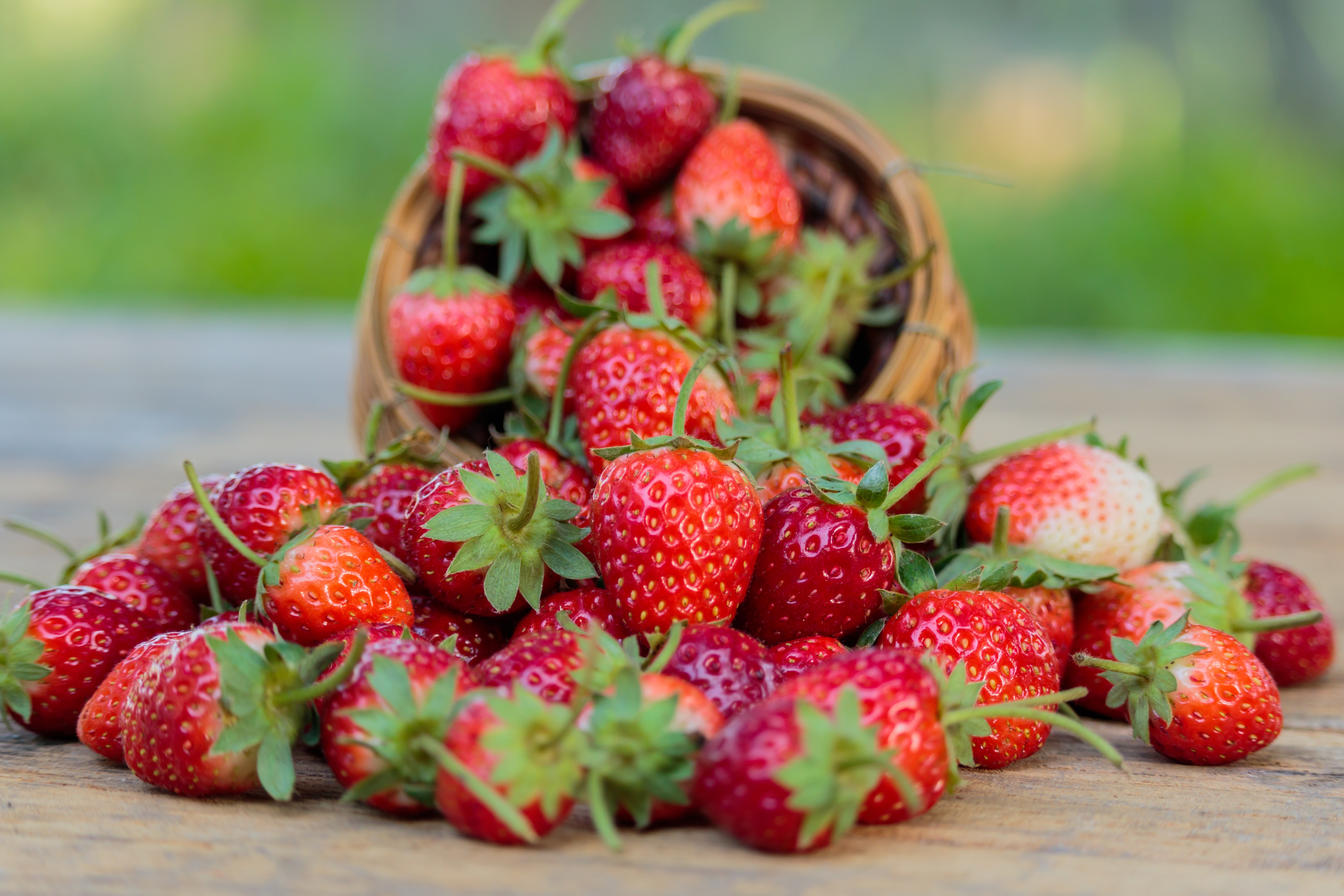 Berry Fruit Strawberry 5472x3648