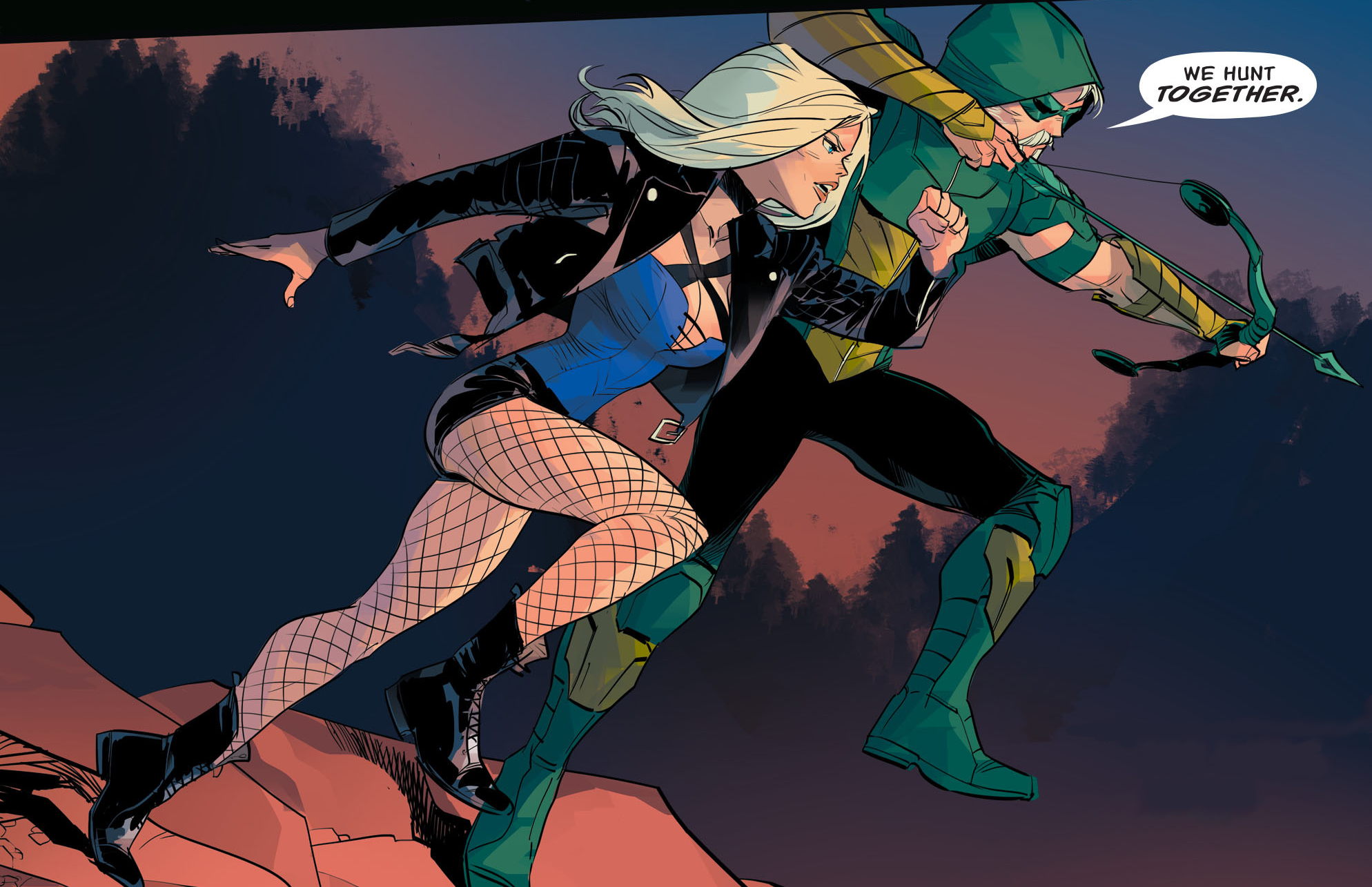 Black Canary Dc Comics Green Arrow 1988x1285