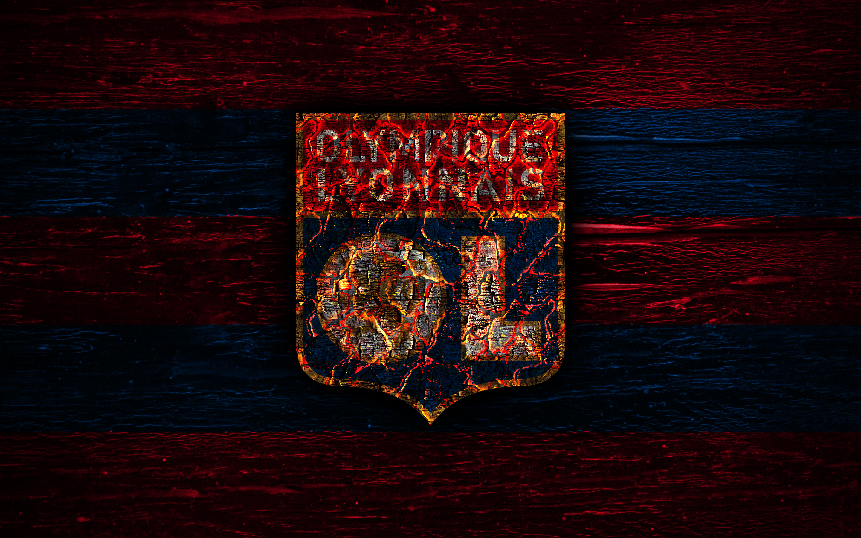 Emblem Logo Olympique Lyonnais Soccer 2880x1800