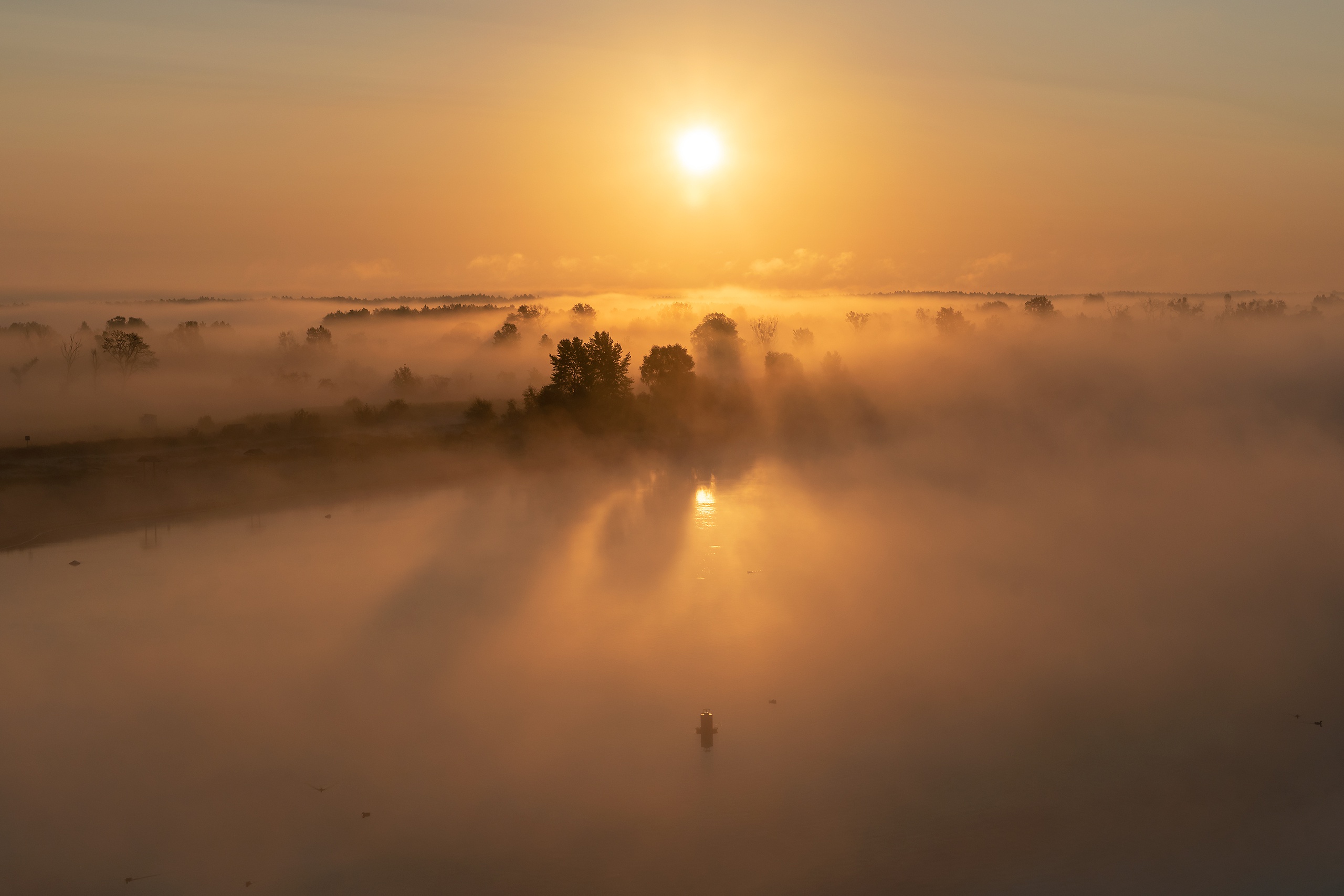 Fog Horizon Nature Sunrise 2560x1707