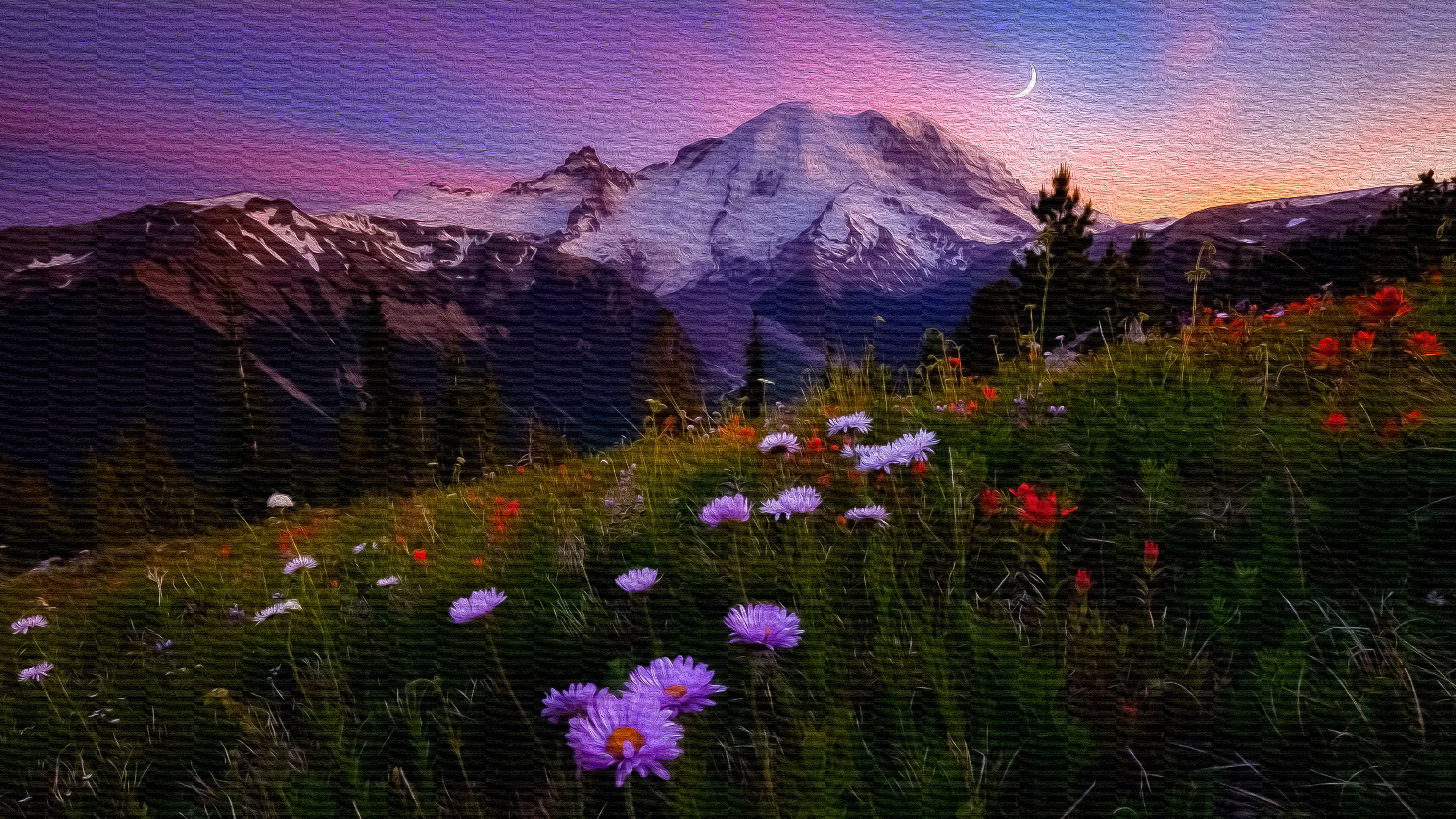 Flower Meadow Mountain 3840x2160