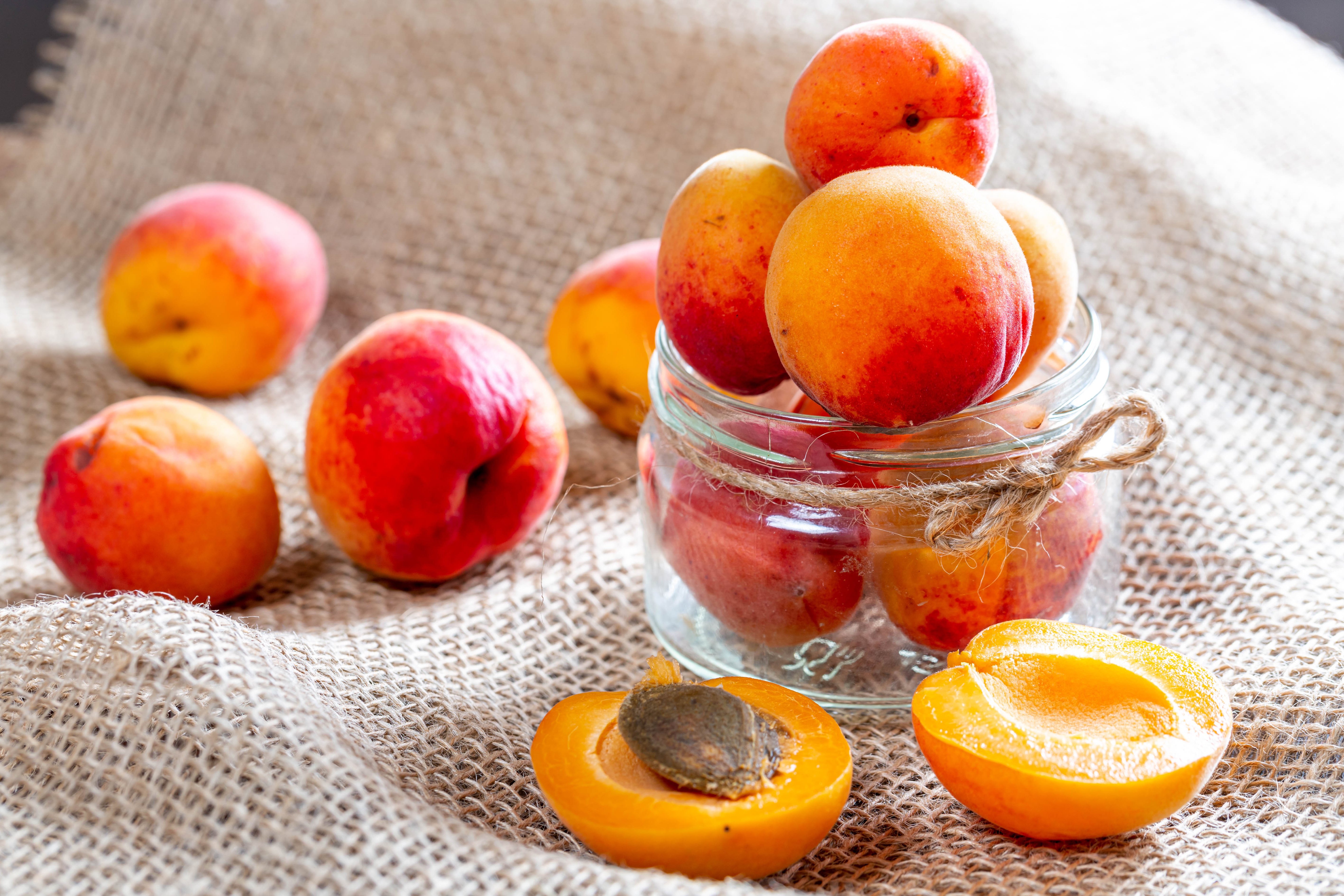 Apricot Fruit 5668x3779