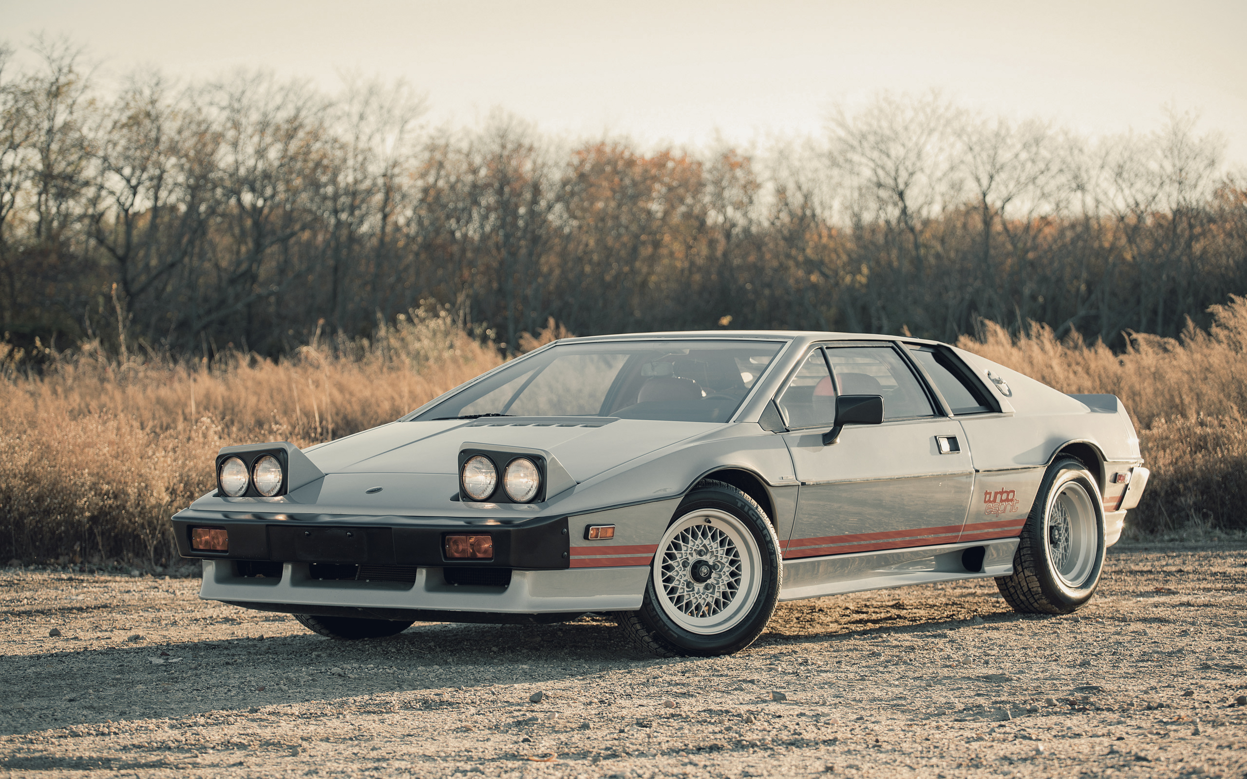 Lotus Esprit Turbo Lotus Esprit Car 2560x1600