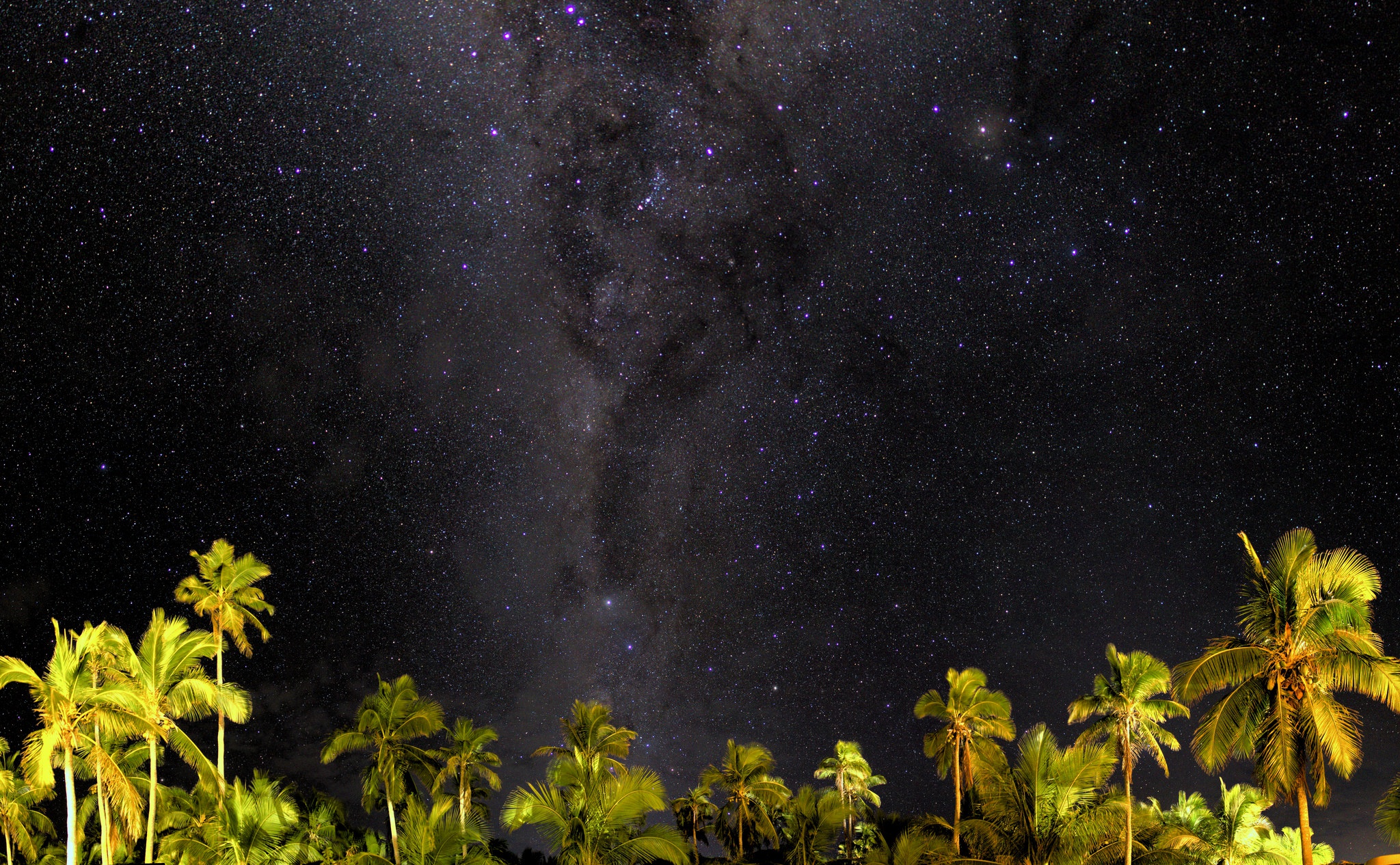 Milky Way Night Palm Tree Sky Starry Sky Stars 2048x1265