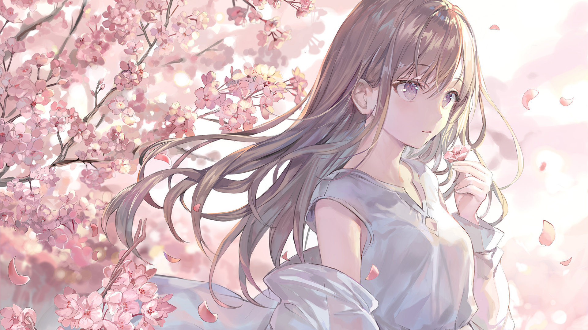 Anime Girls Artwork Momoko Cherry Blossom Brunette 1920x1080