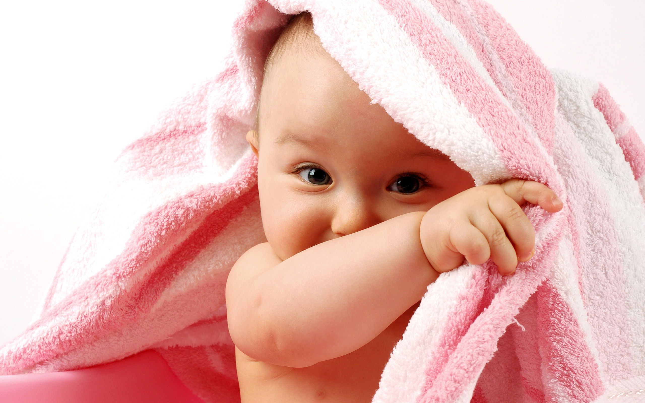 Photography Baby 2560x1600