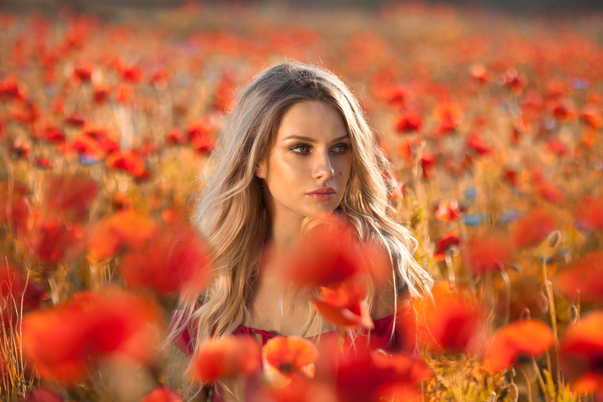 Woman Girl Blonde Depth Of Field Summer Red Flower Poppy 2000x1333