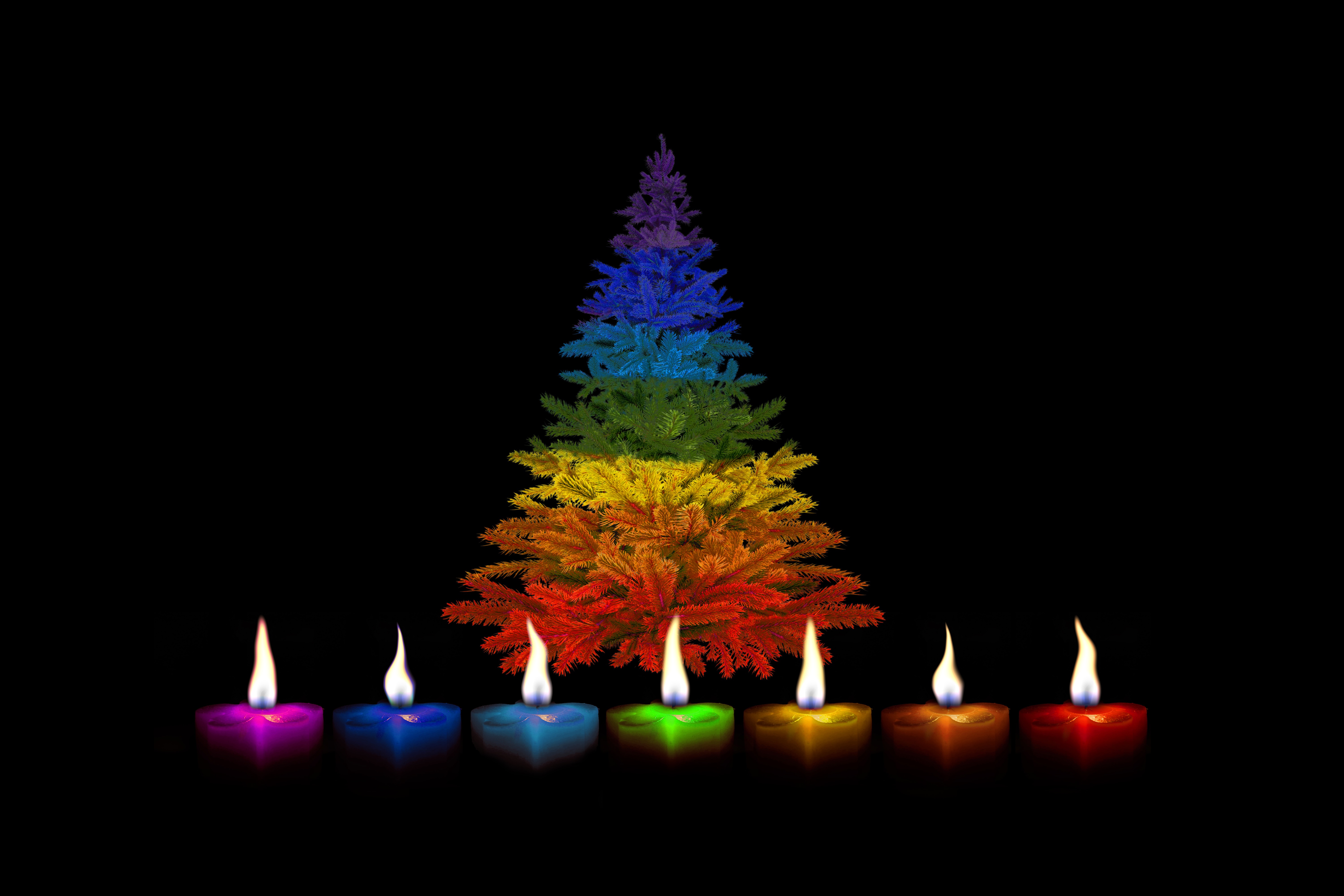Christmas Tree Candle Colorful Colors Flame 6000x4000