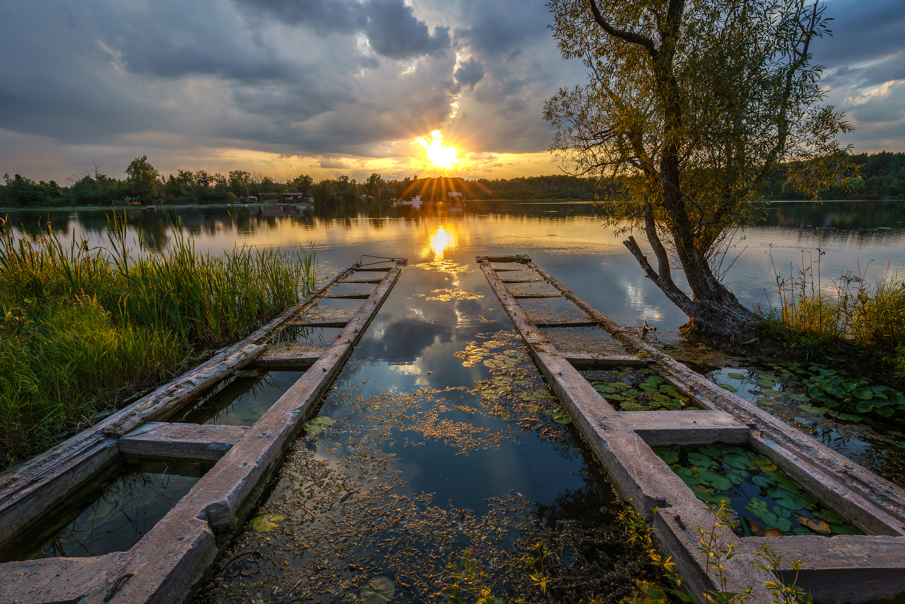 Sunset Outdoors Nature Photography Water Clouds Sky Trees Lily Pads Reeds 3000x2001