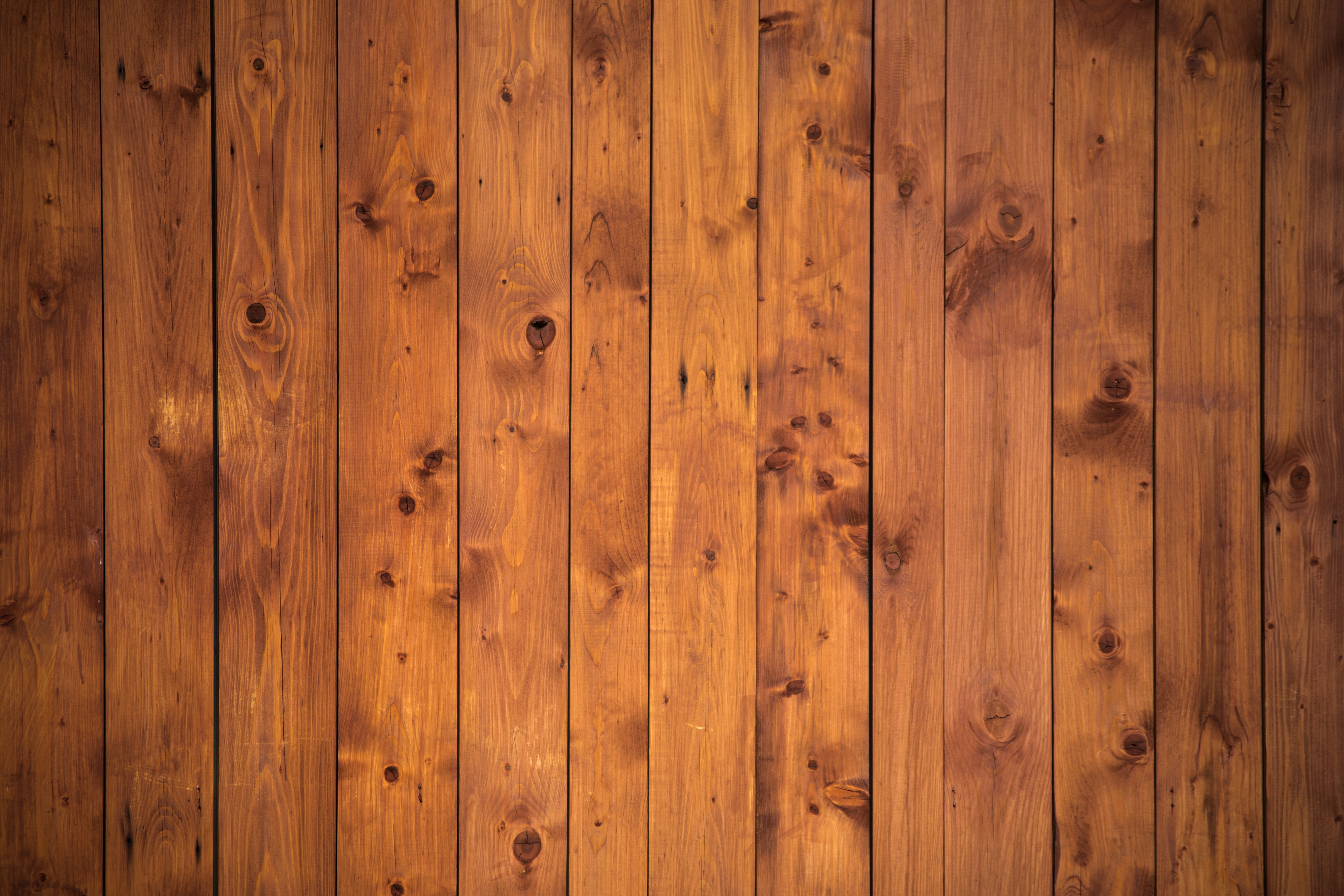Wood Wooden Surface Textured 4890x3260