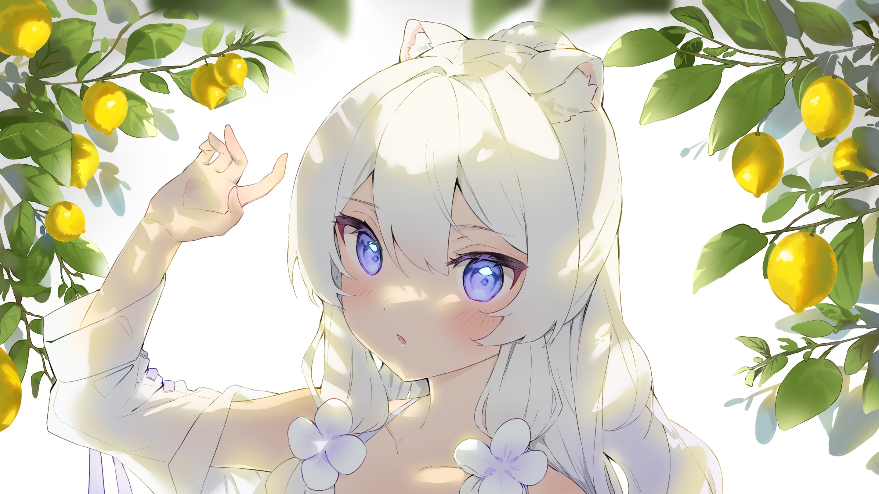 Anime Anime Girls Cheli Artwork Animal Ears White Hair Blue Eyes Lemons 2880x1620