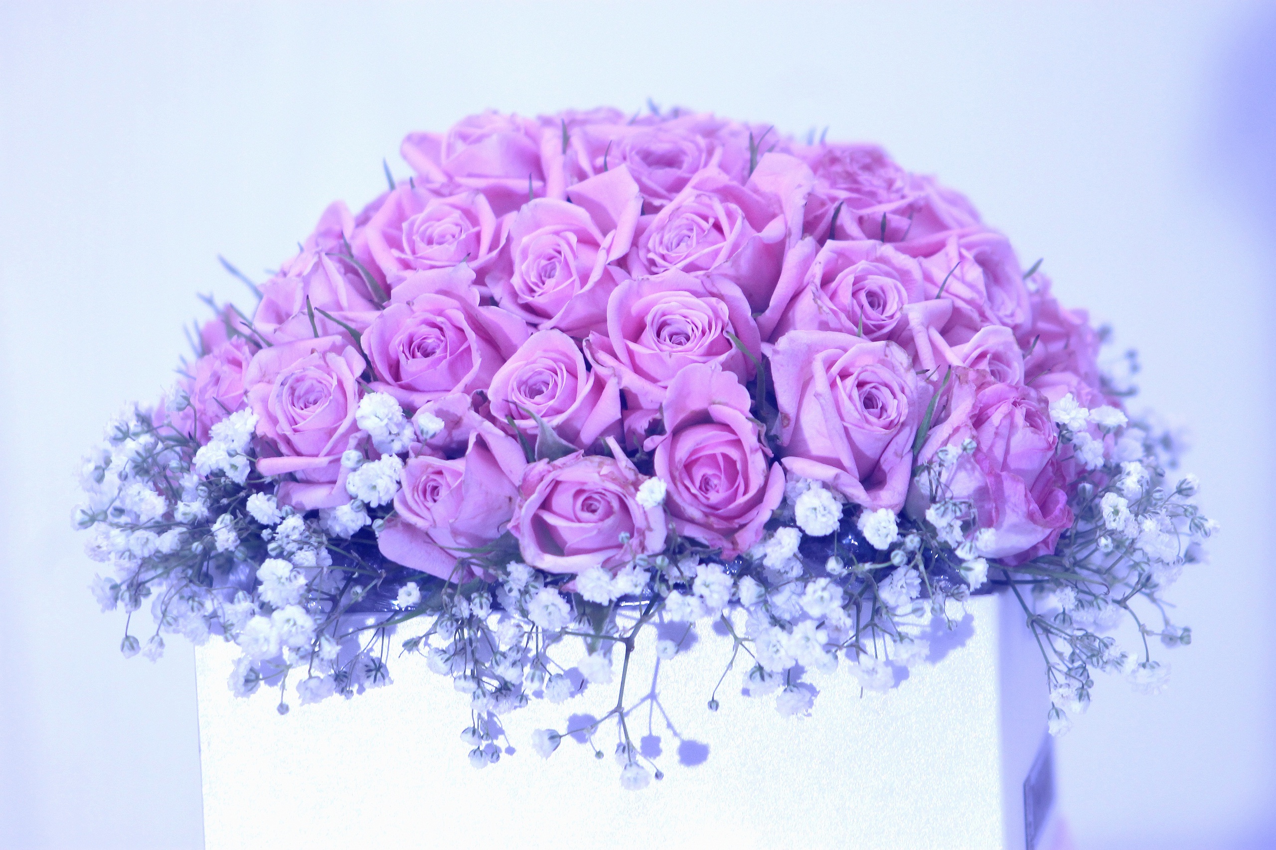 Bouquet Box Pink Rose Rose 2560x1706