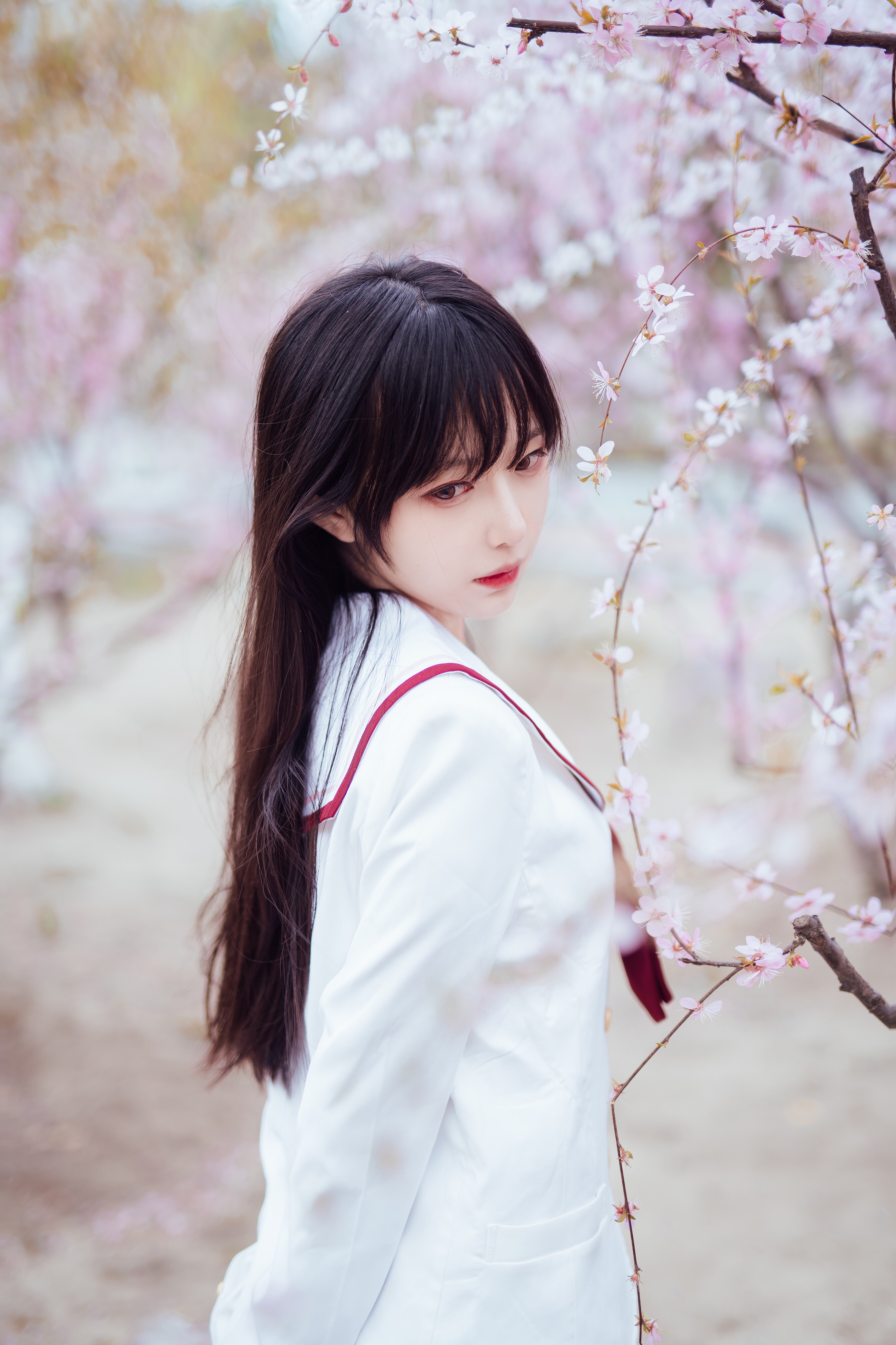 Cherry Blossom Asian 2688x4032