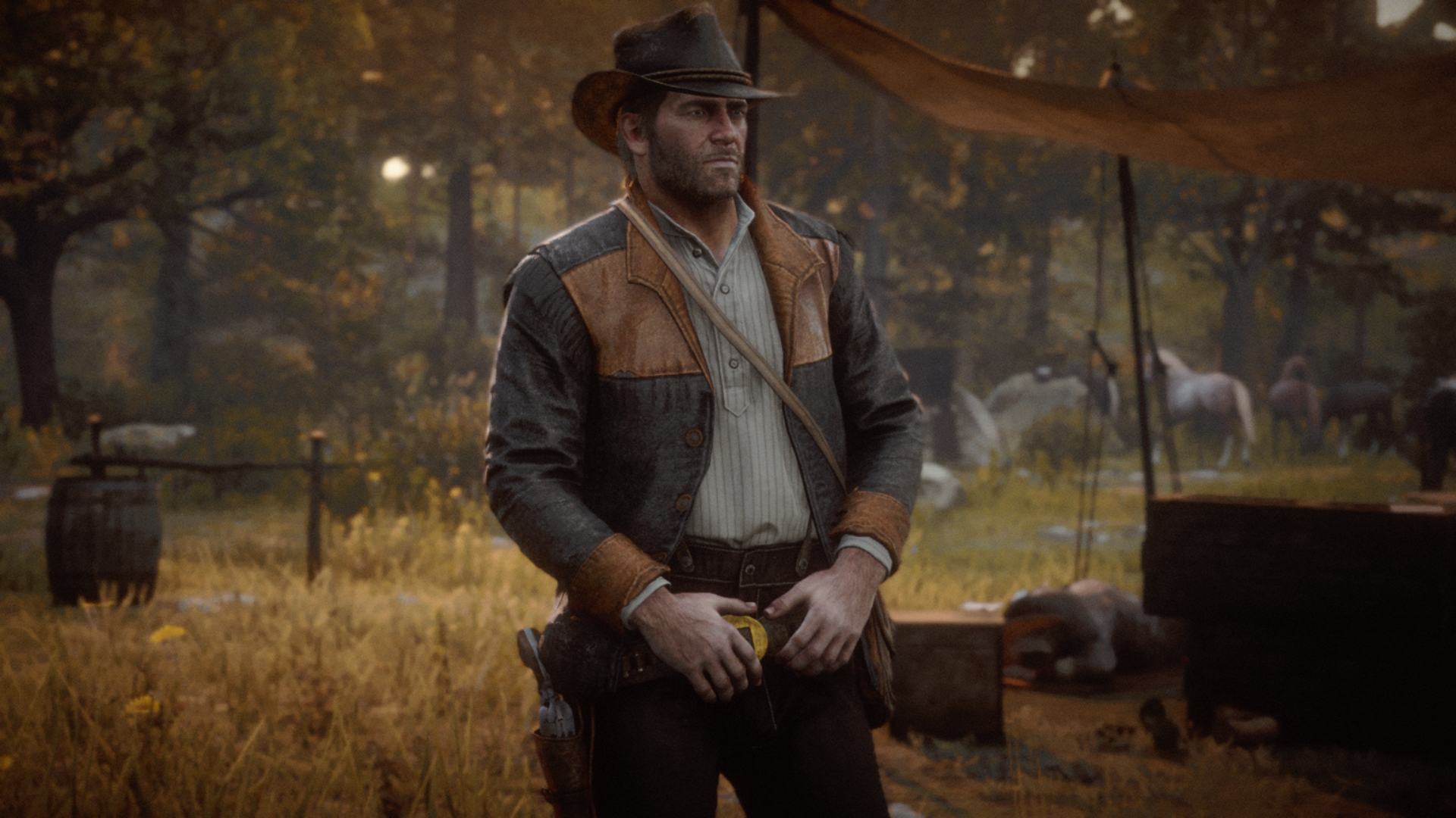 Playing with the Wild West: Red Dead Redemption 2 Chapters
