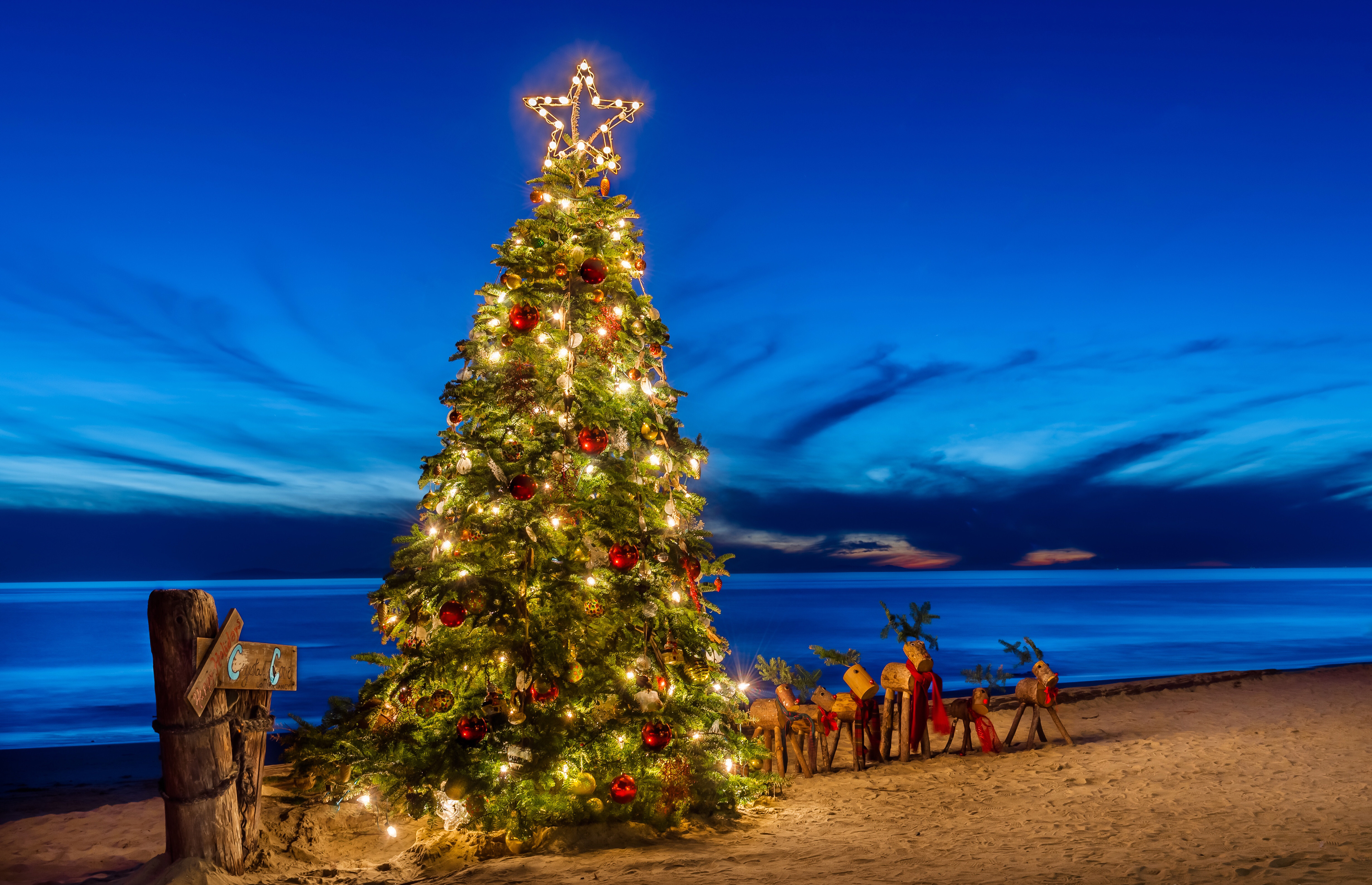 Christmas Tree Beach Ocean Horizon Sky 4000x2580