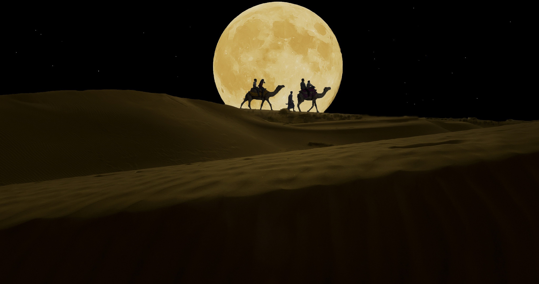 Moon Desert Night Bedouin Camel 2047x1080