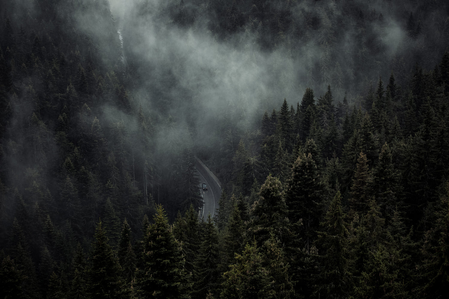 Forest Road Mist Nature Landscape Drone Photo Green Pine Trees 1500x1000