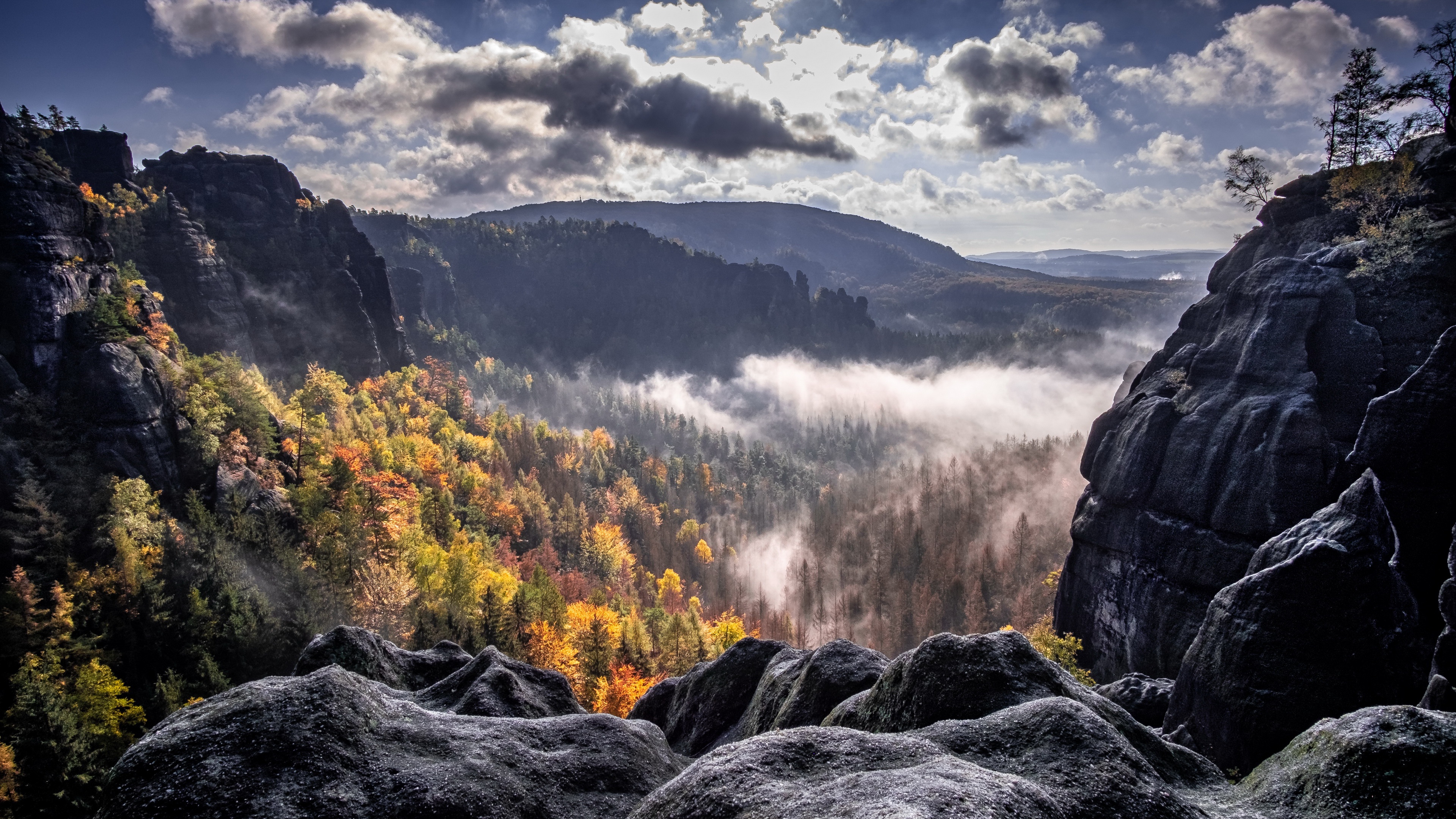 Forest Fog Mountain Nature Fall Cloud 3840x2160