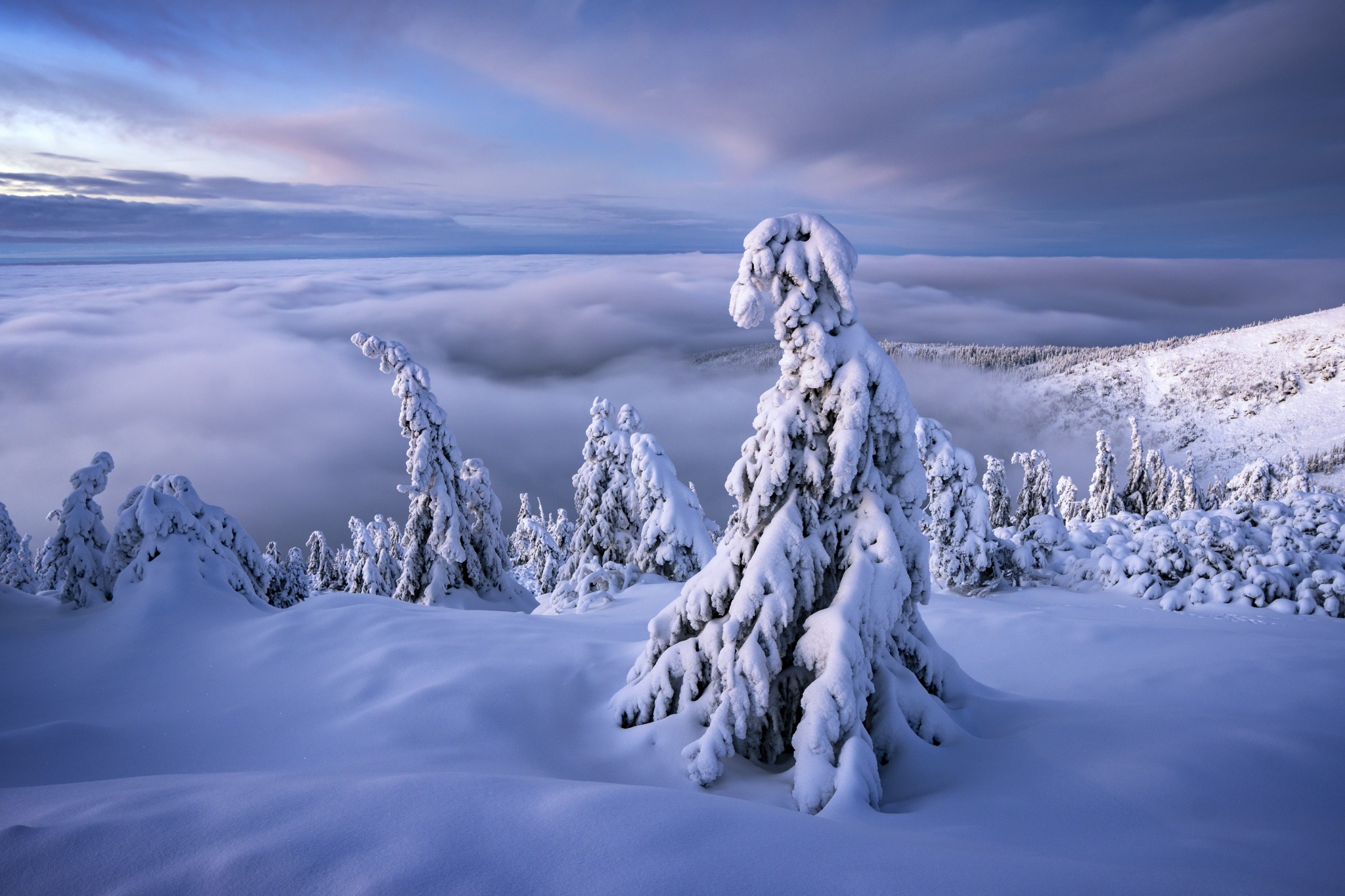 Cloud Snow Tree Landscape Nature Czech Republic Horizon 2048x1365