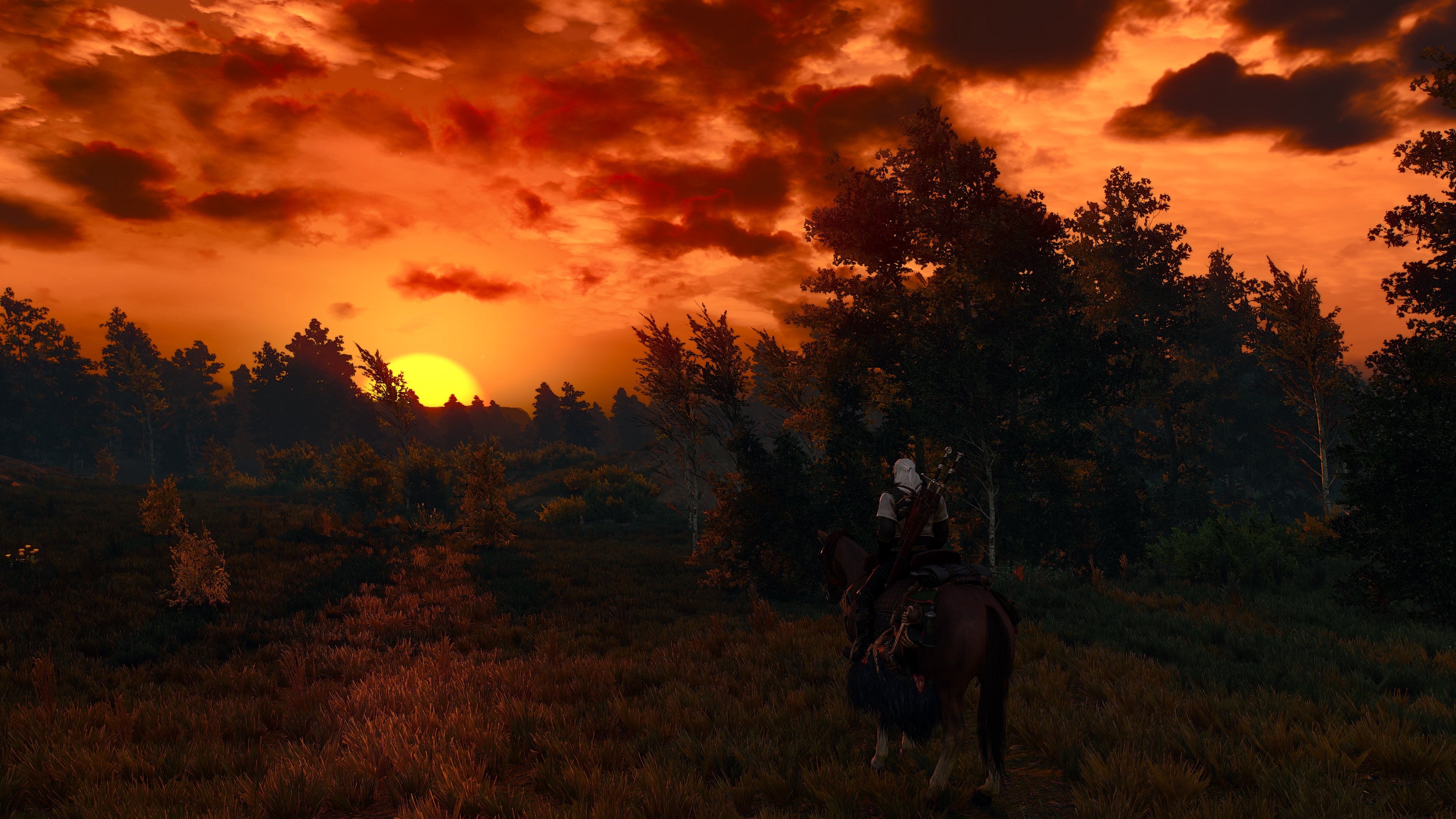 The Witcher The Witcher 3 Wild Hunt Geralt Of Rivia Screen Shot Roach 3840x2160