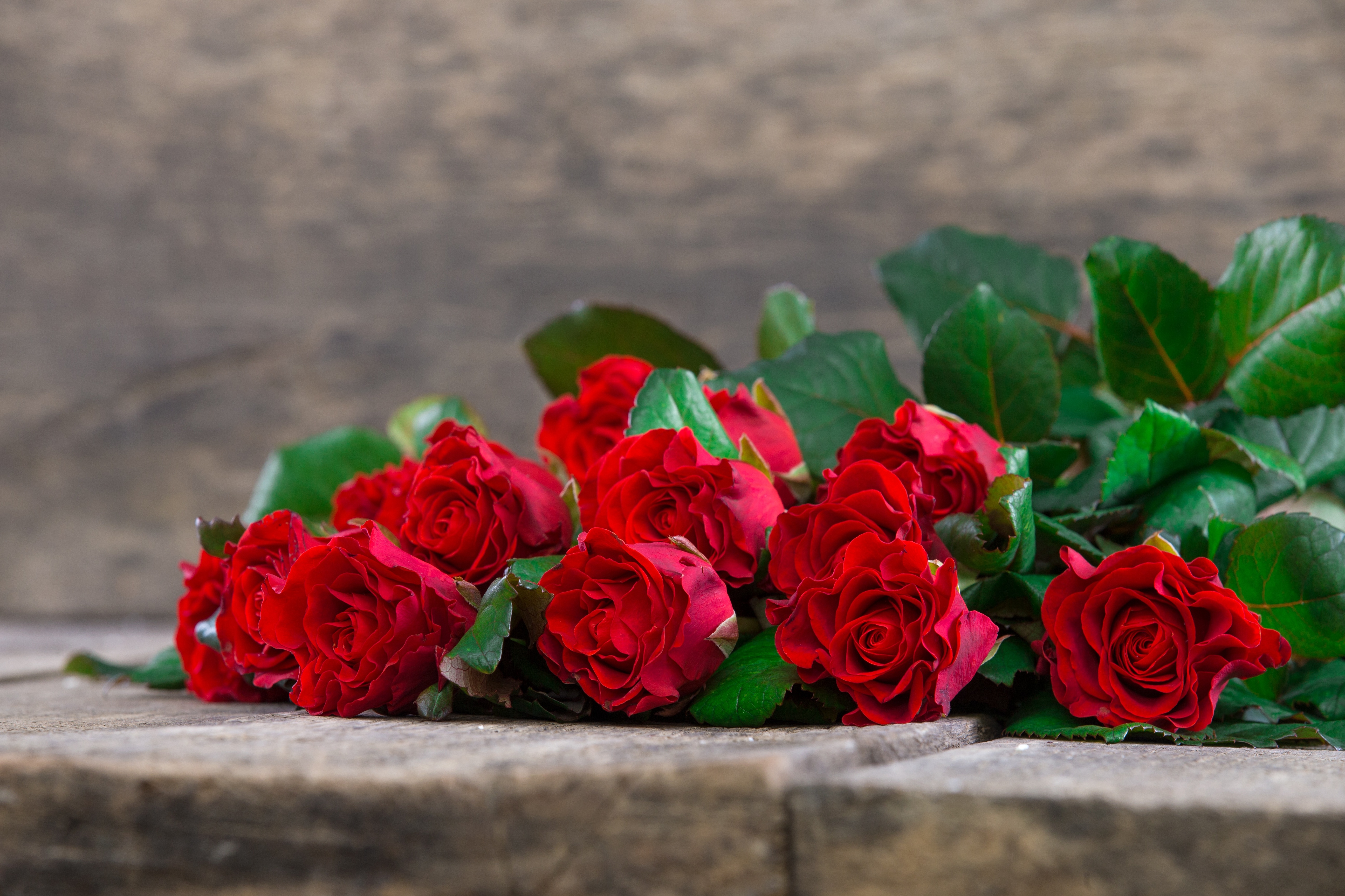 Rose Bouquet 5184x3456