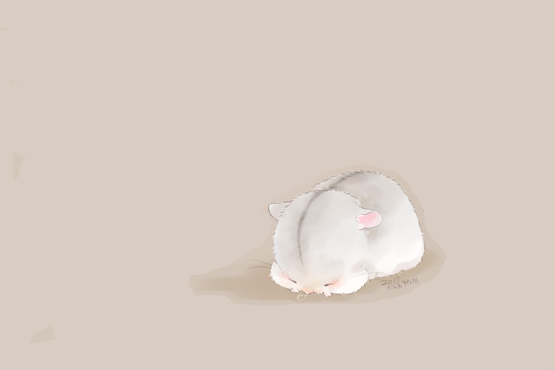 Hamster Sleeping Furry 1920x1280
