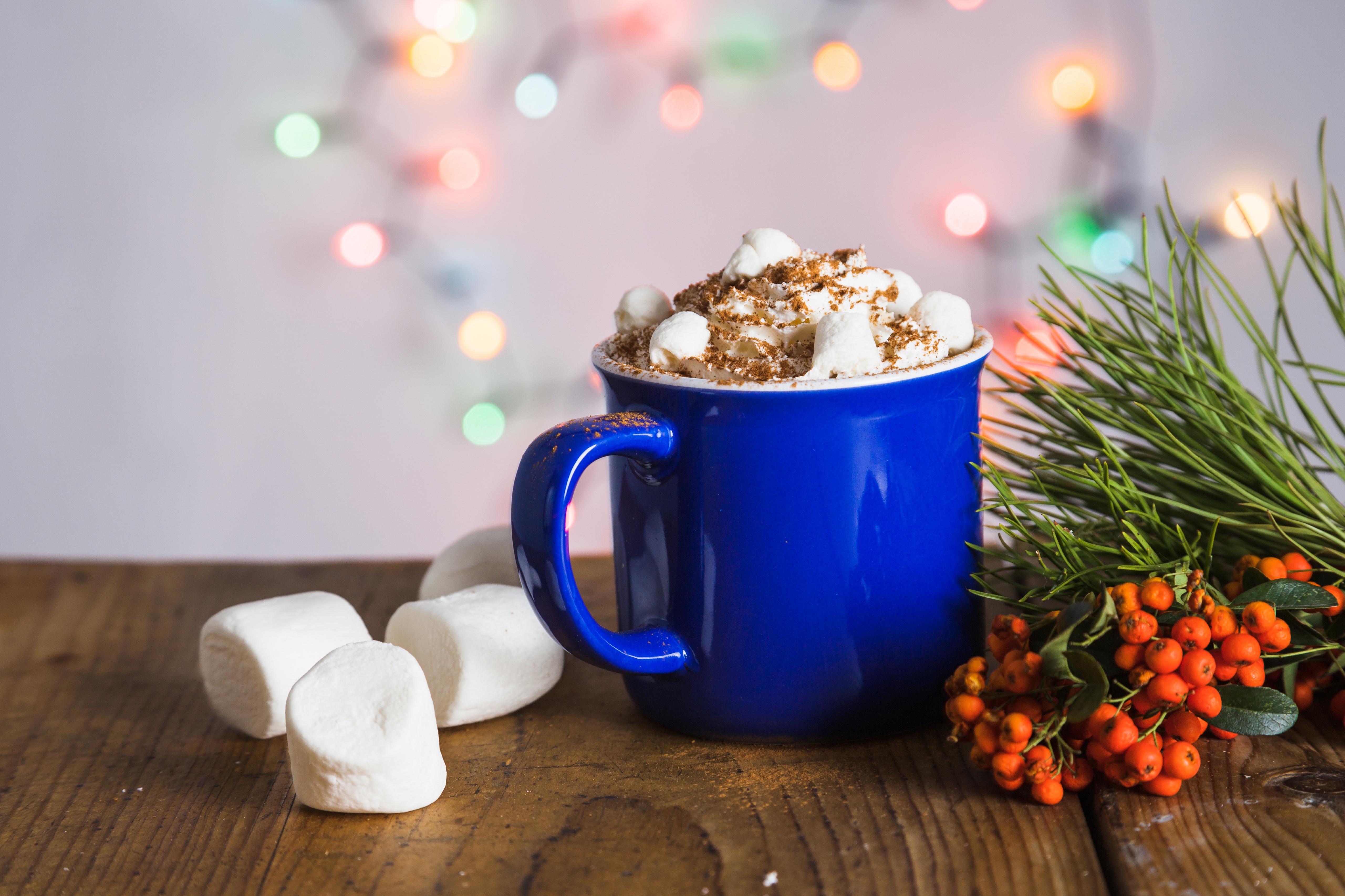 Cup Drink Hot Chocolate Marshmallow 5121x3414