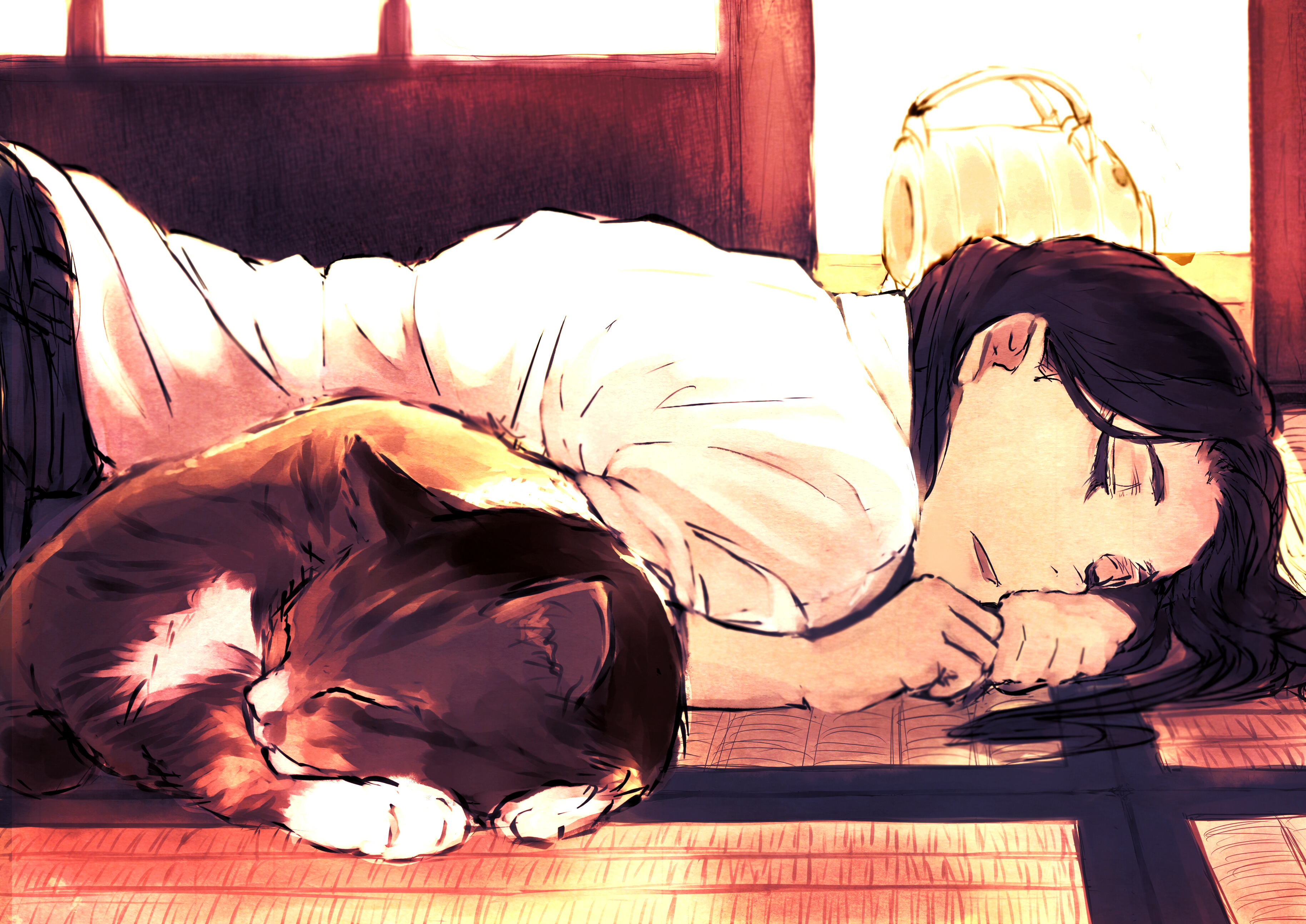 Anime Girls Cats Sleeping Dark Hair 3654x2585