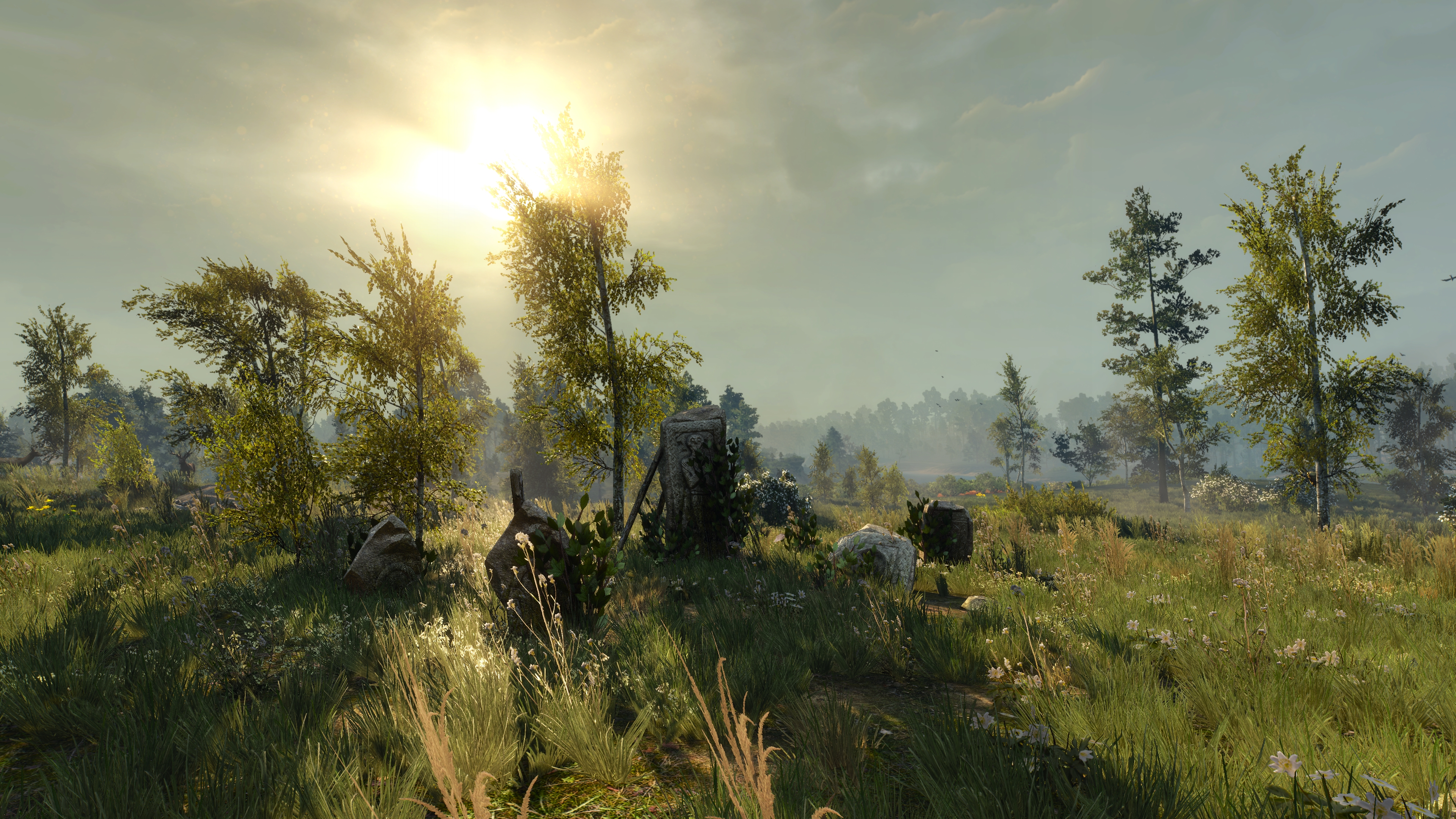 The Witcher 3 Wild Hunt Stones Forest Sunny 3840x2160