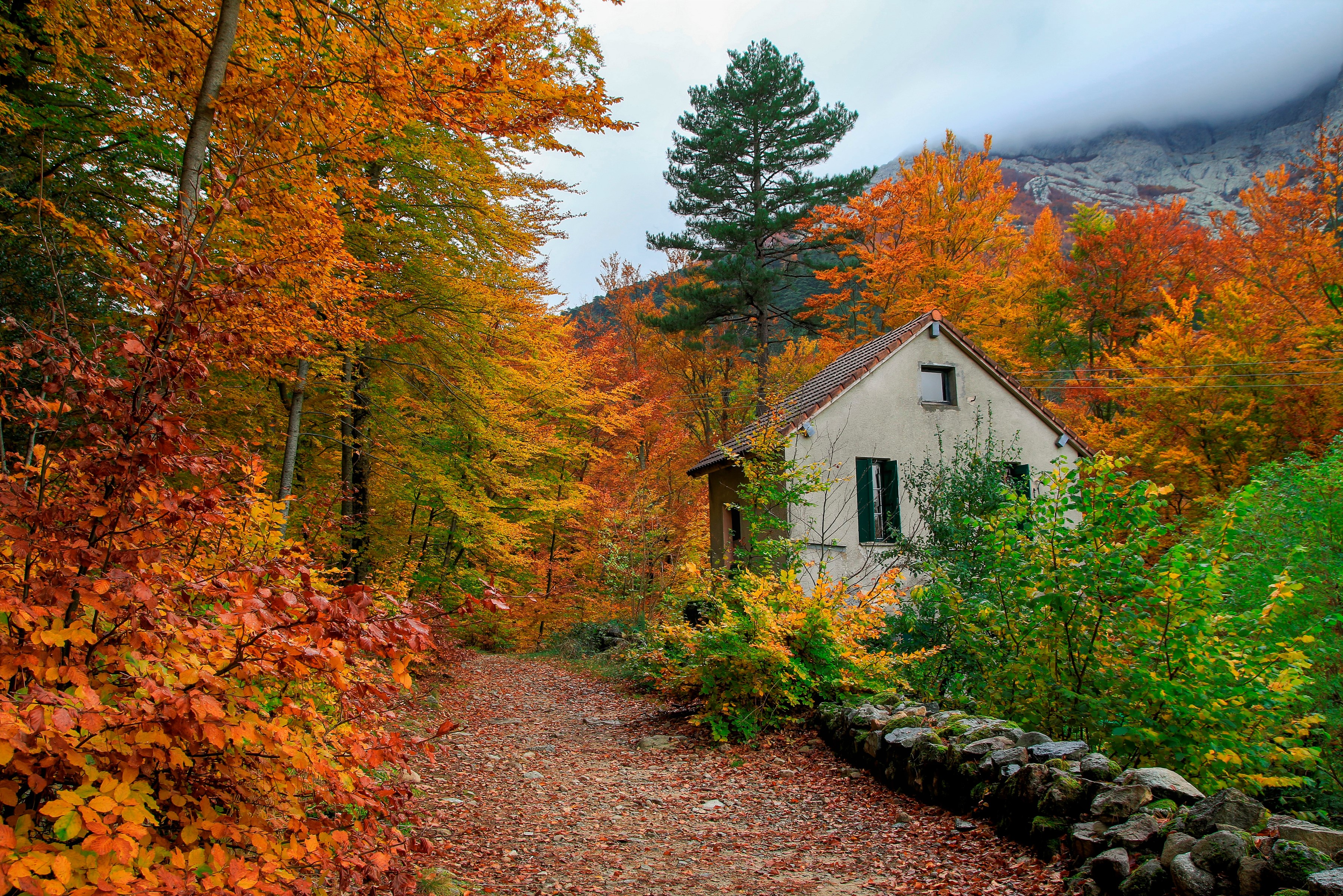 Colorful Fall House Shed Tree 3600x2403