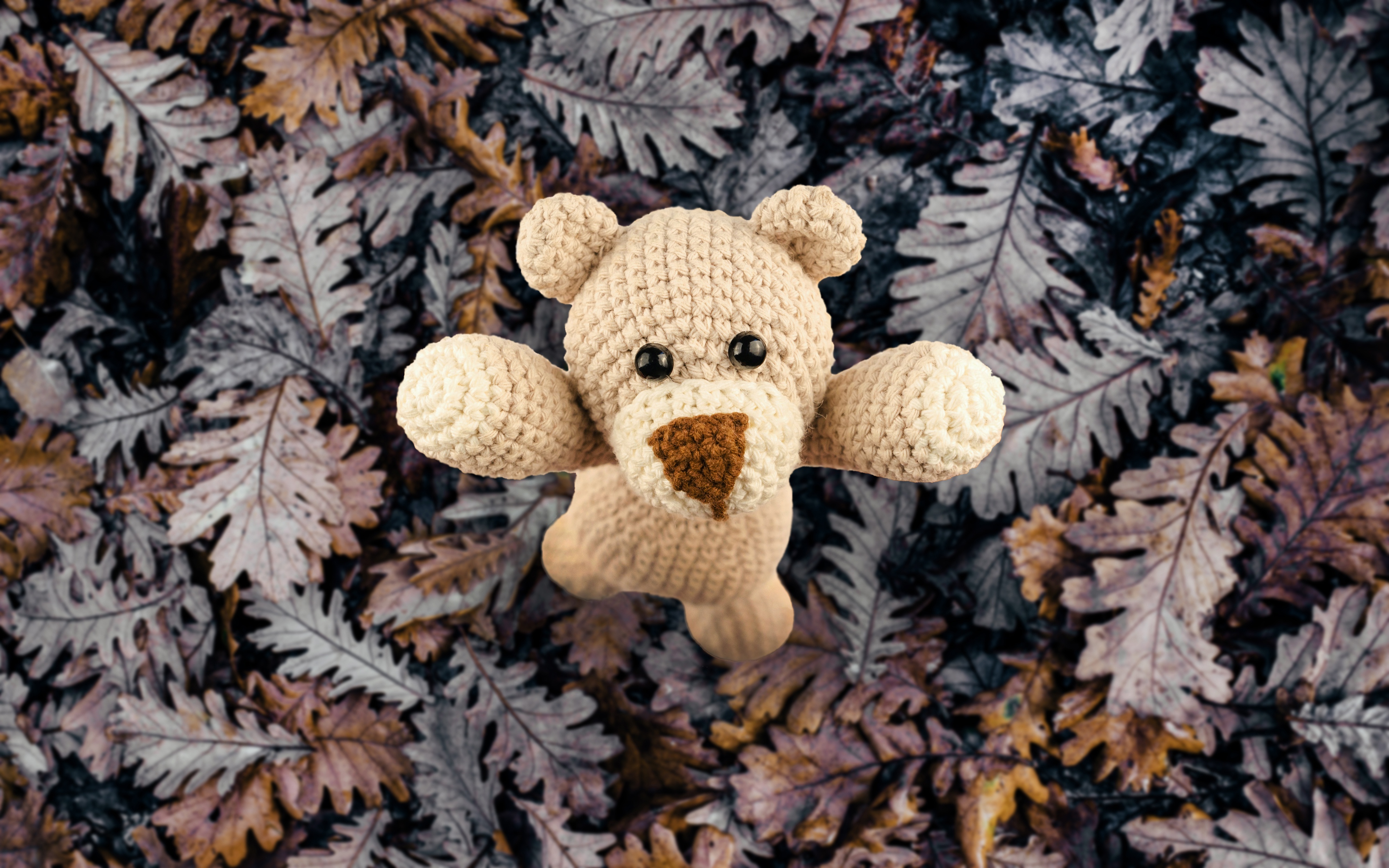 Teddy Bear 4000x2500