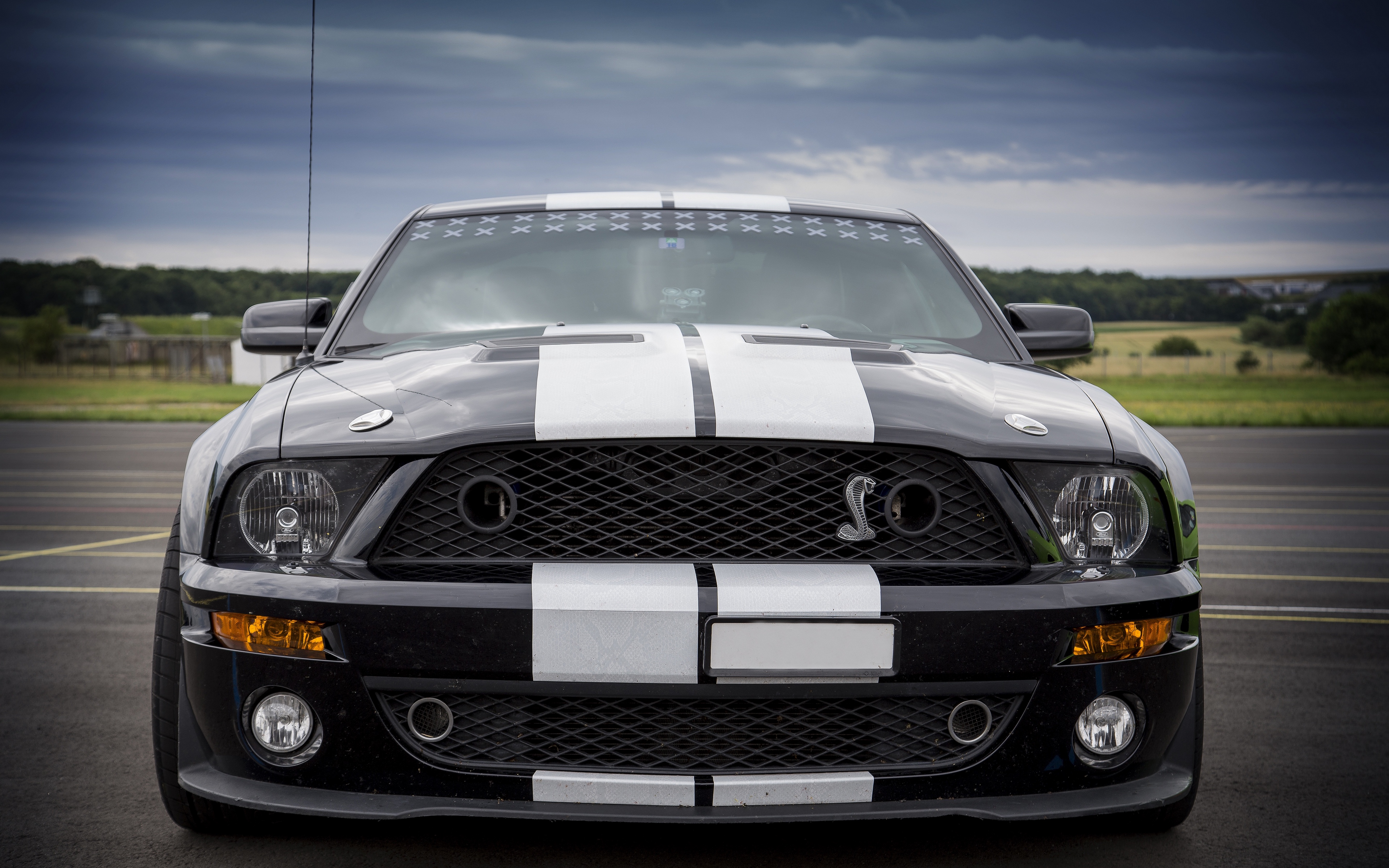 Vehicles Ford Mustang Shelby 3840x2400