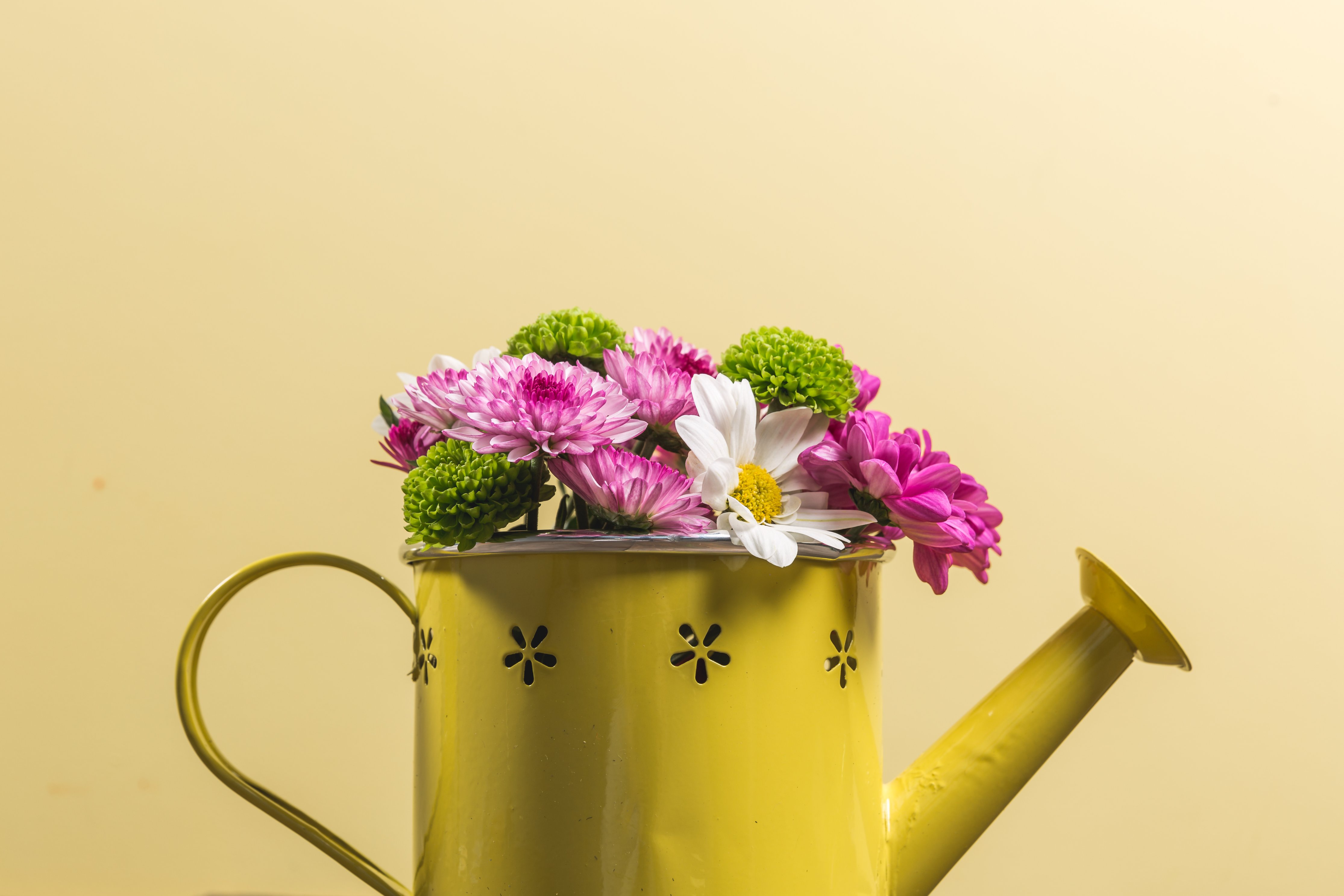Flower Watering Can 4460x2973