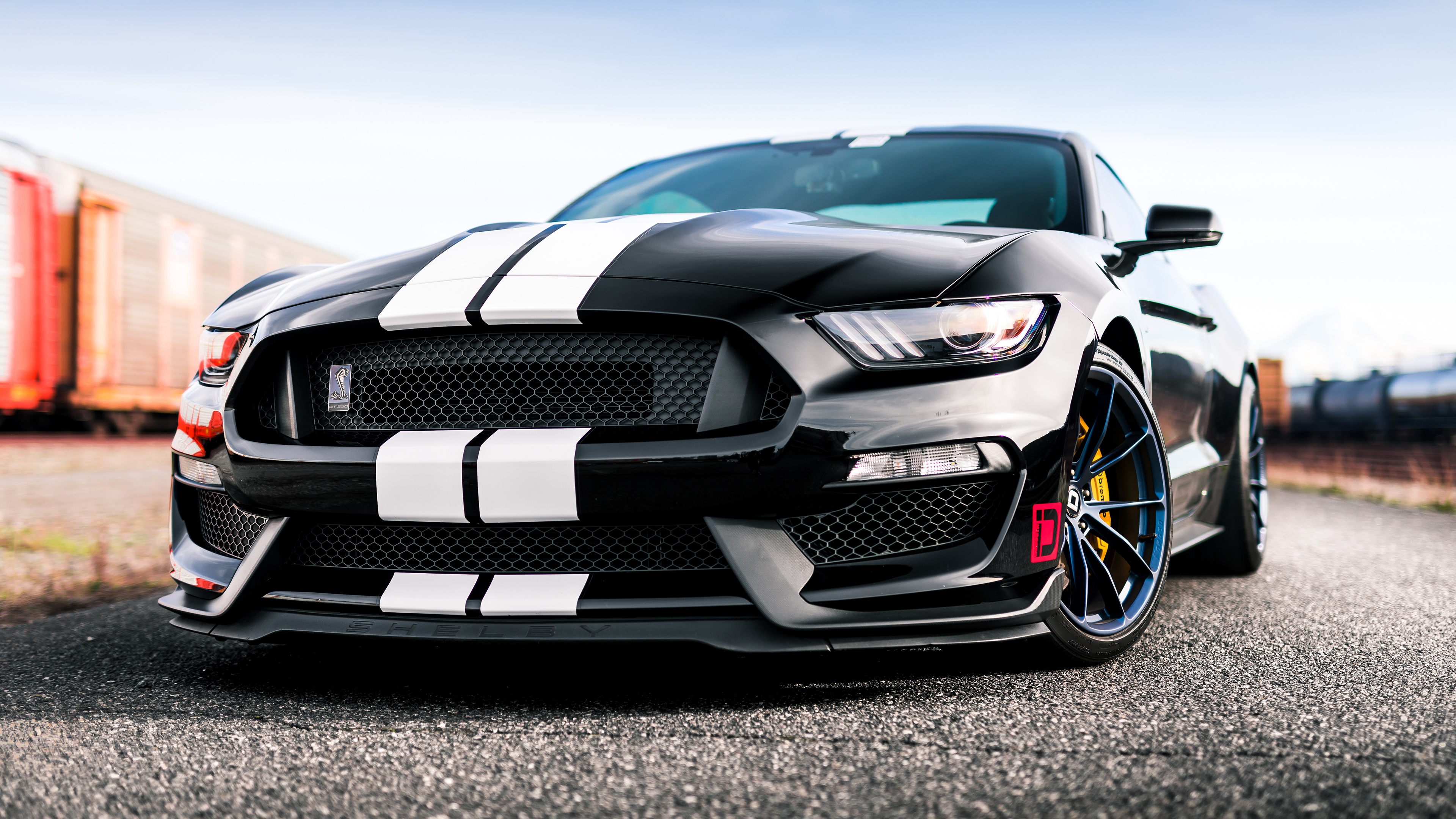 Ford Mustang Shelby Ford Mustang Ford Car Muscle Car Black Car 3840x2160