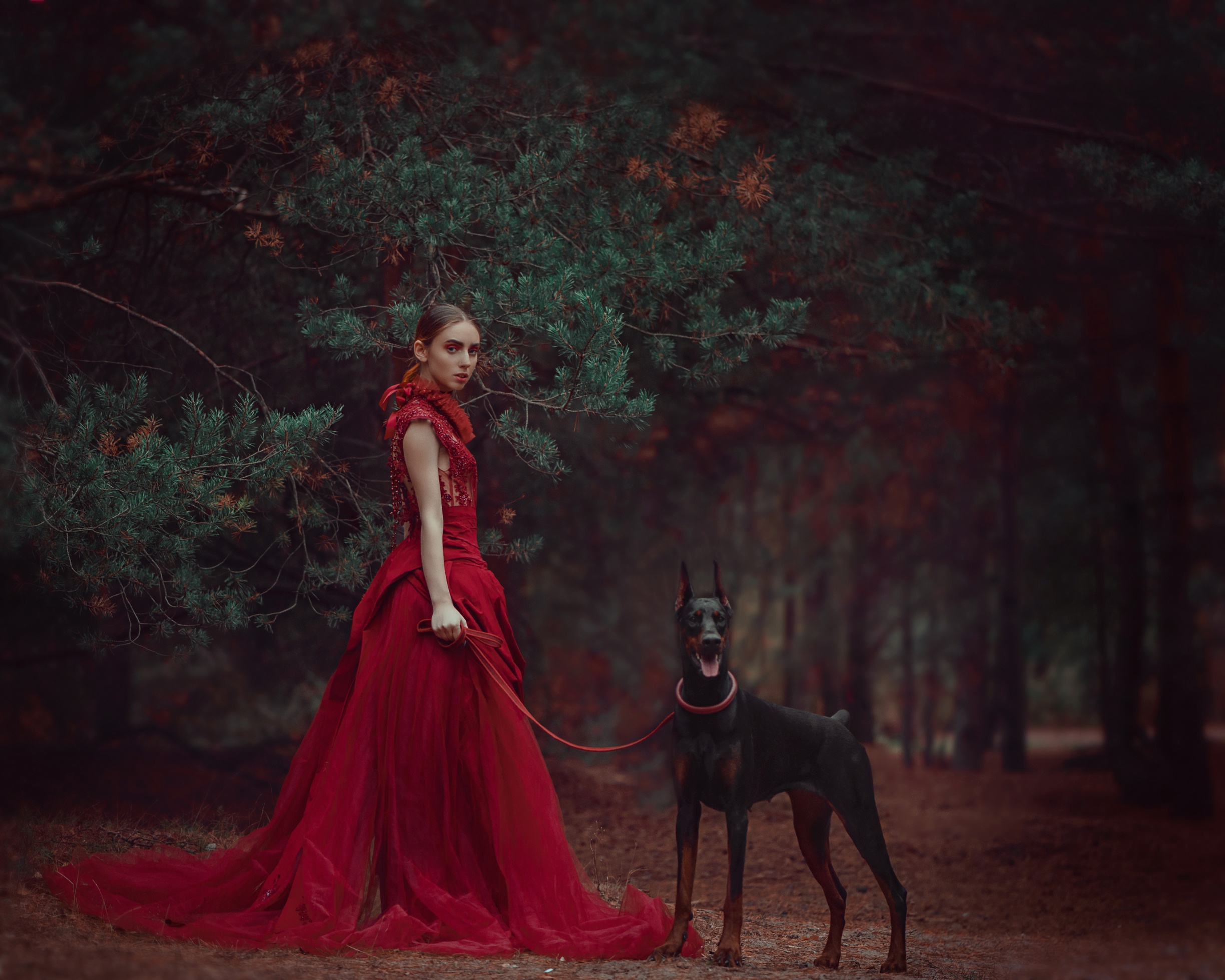 Doberman Pinscher Dog Girl Pine Tree Red Dress Style 2448x1959