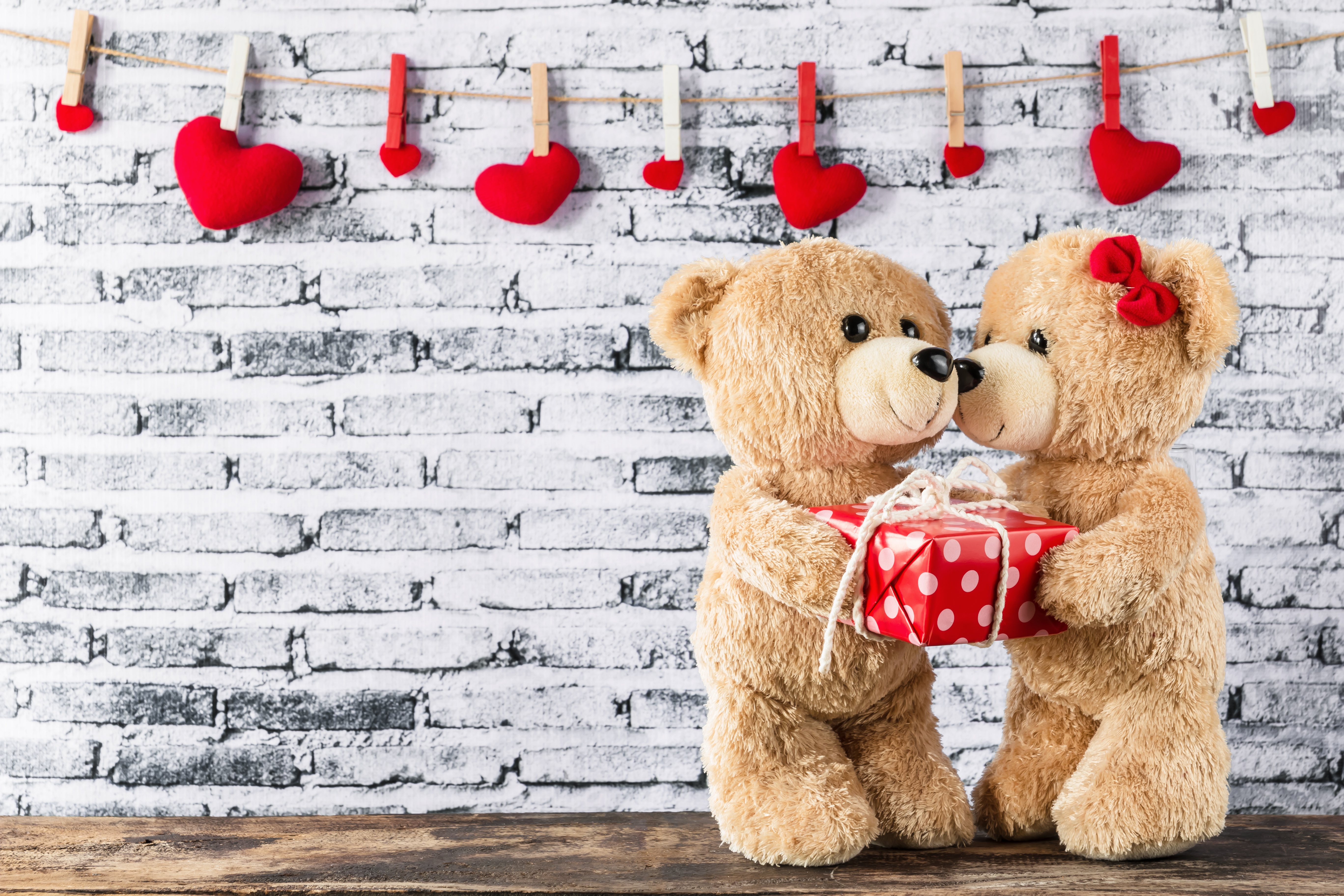 Teddy Bear Gift 5472x3648