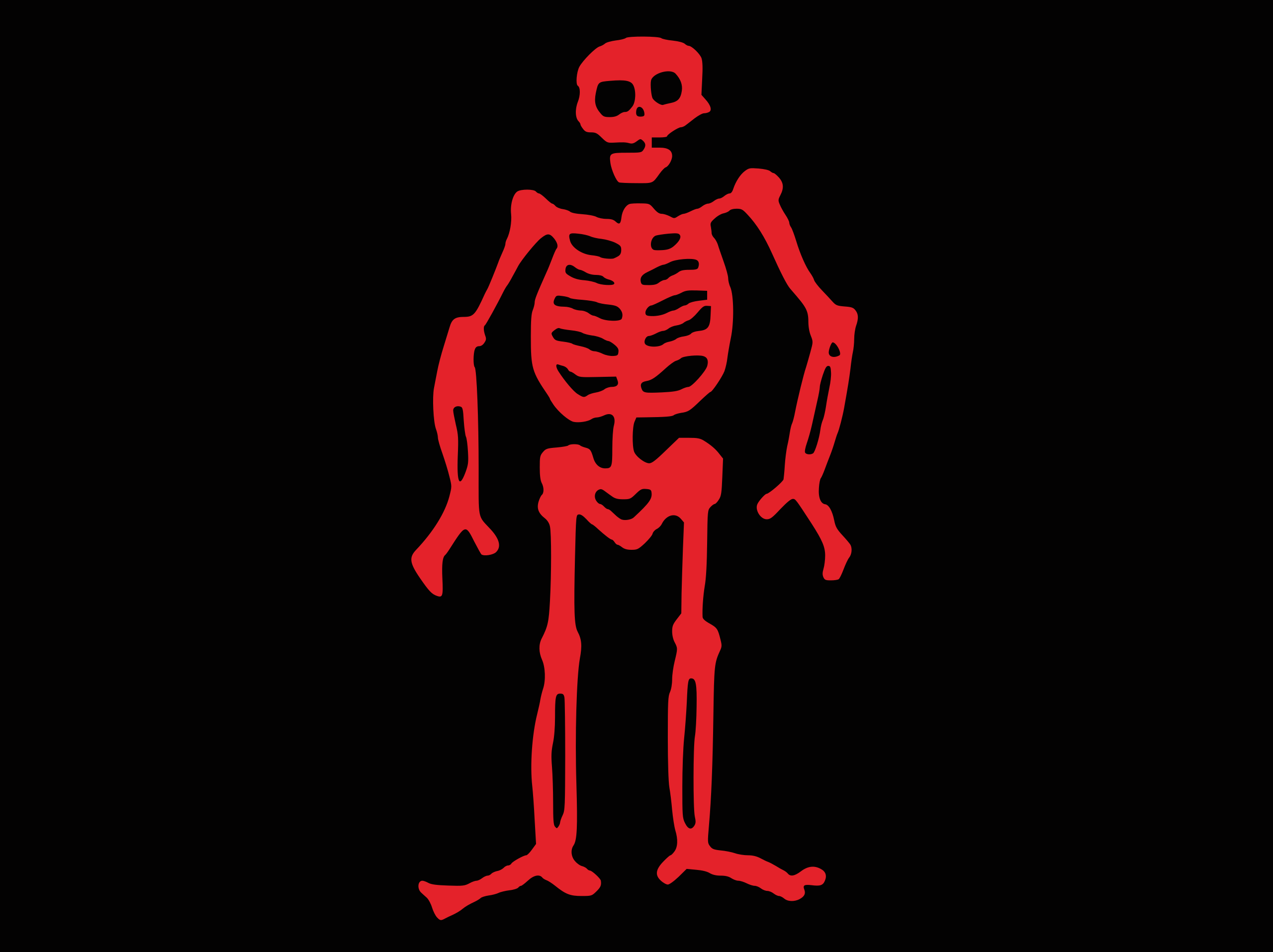 Pirates Flag Skull And Bones Skull 2560x1915