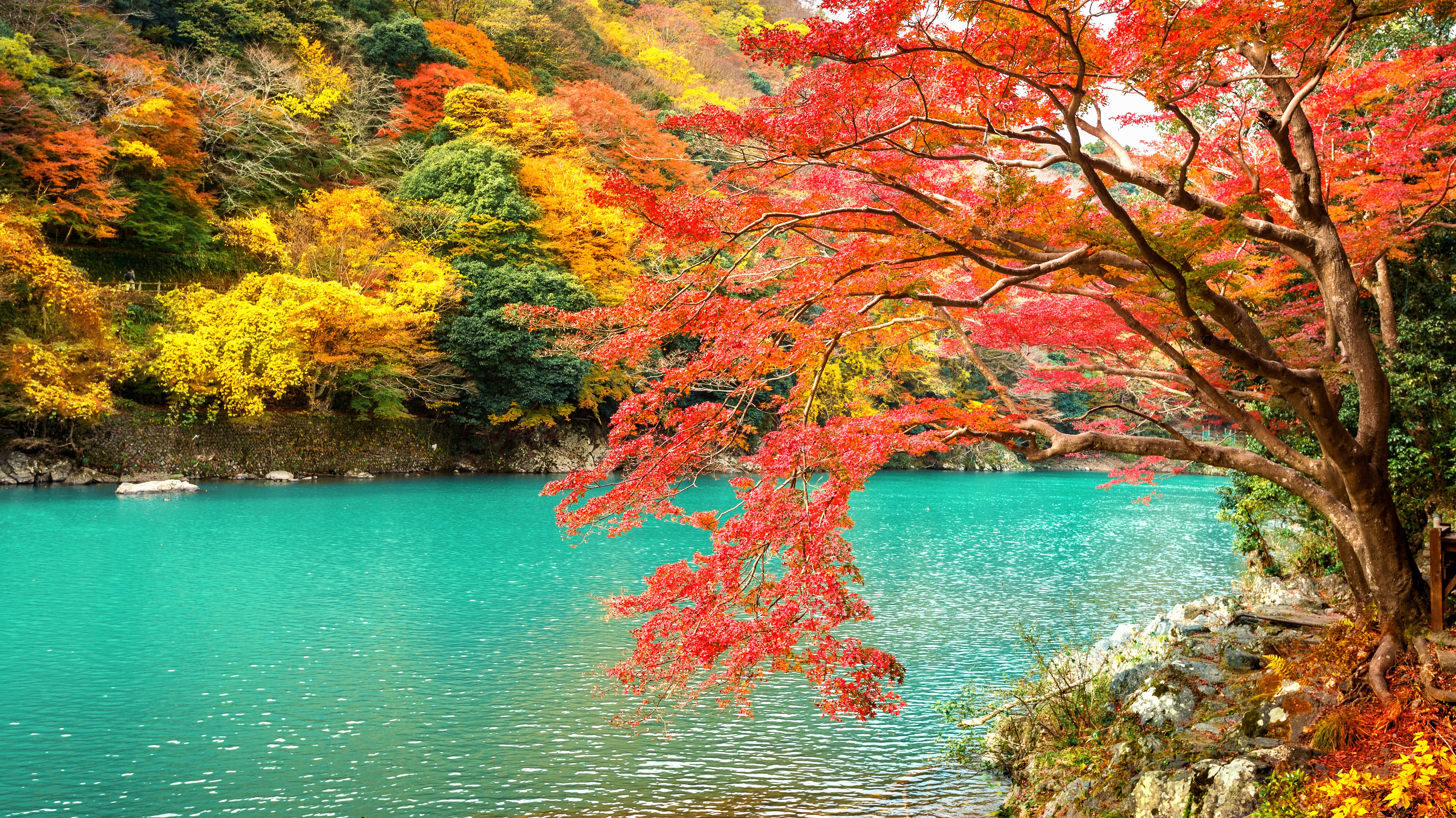 Japan Kyoto Nature Park Lake Arashiyama 4928x2772