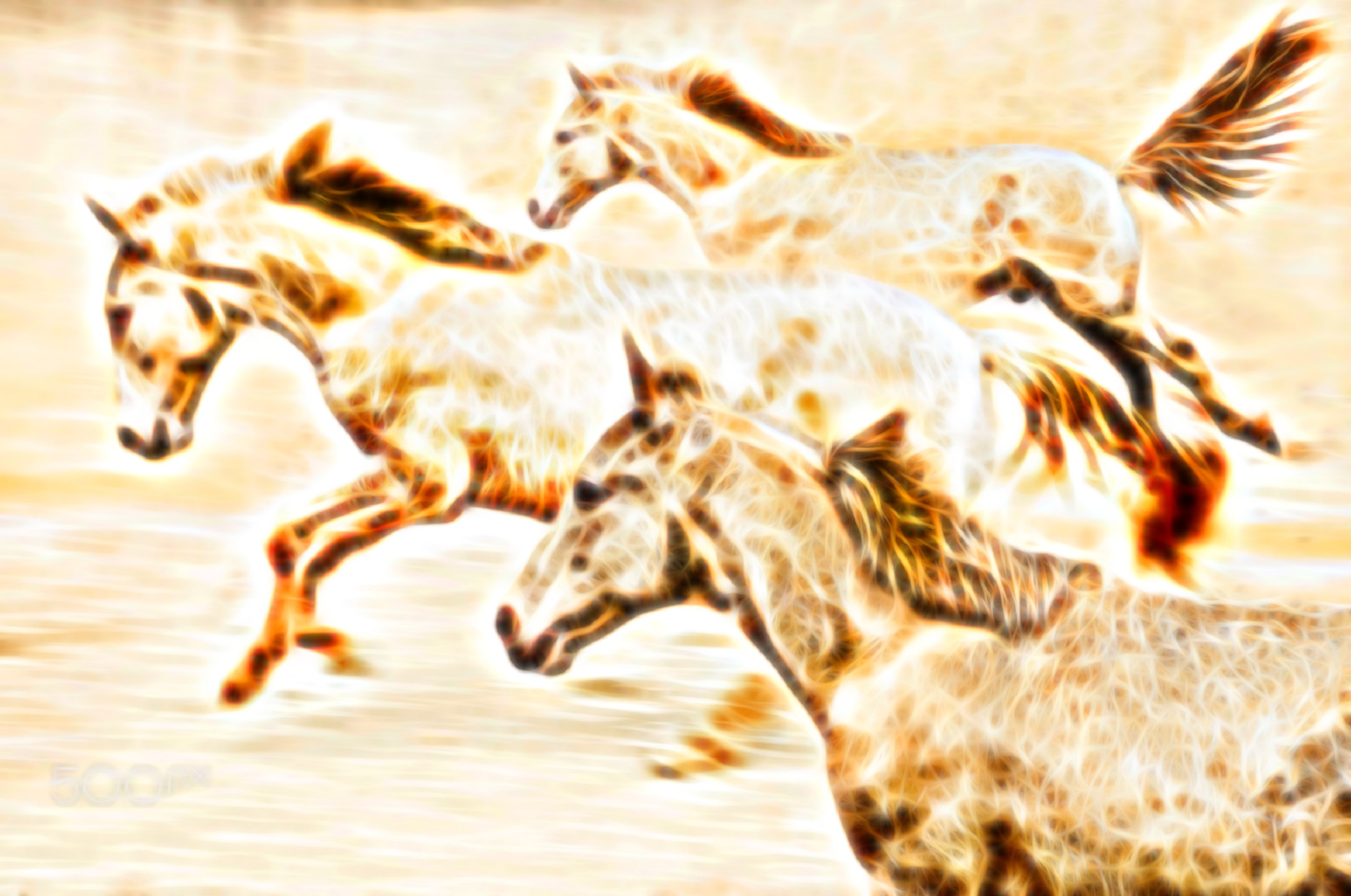 Animal Artistic Fractal Horse 2156x1430