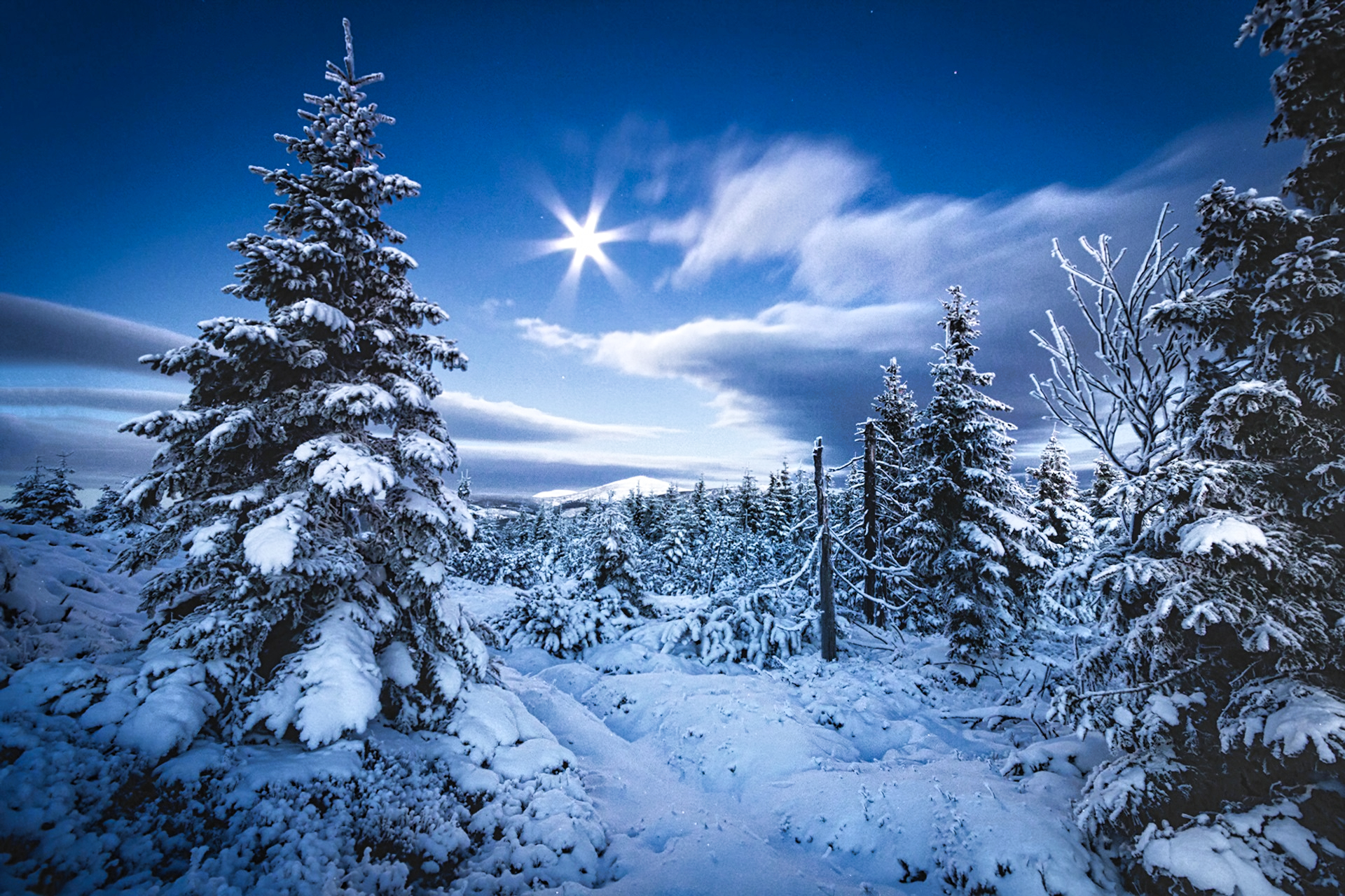 Winter Trees Snow Snow Covered Sunlight Sun Clouds Sky Landscape Nature Photography 1920x1280
