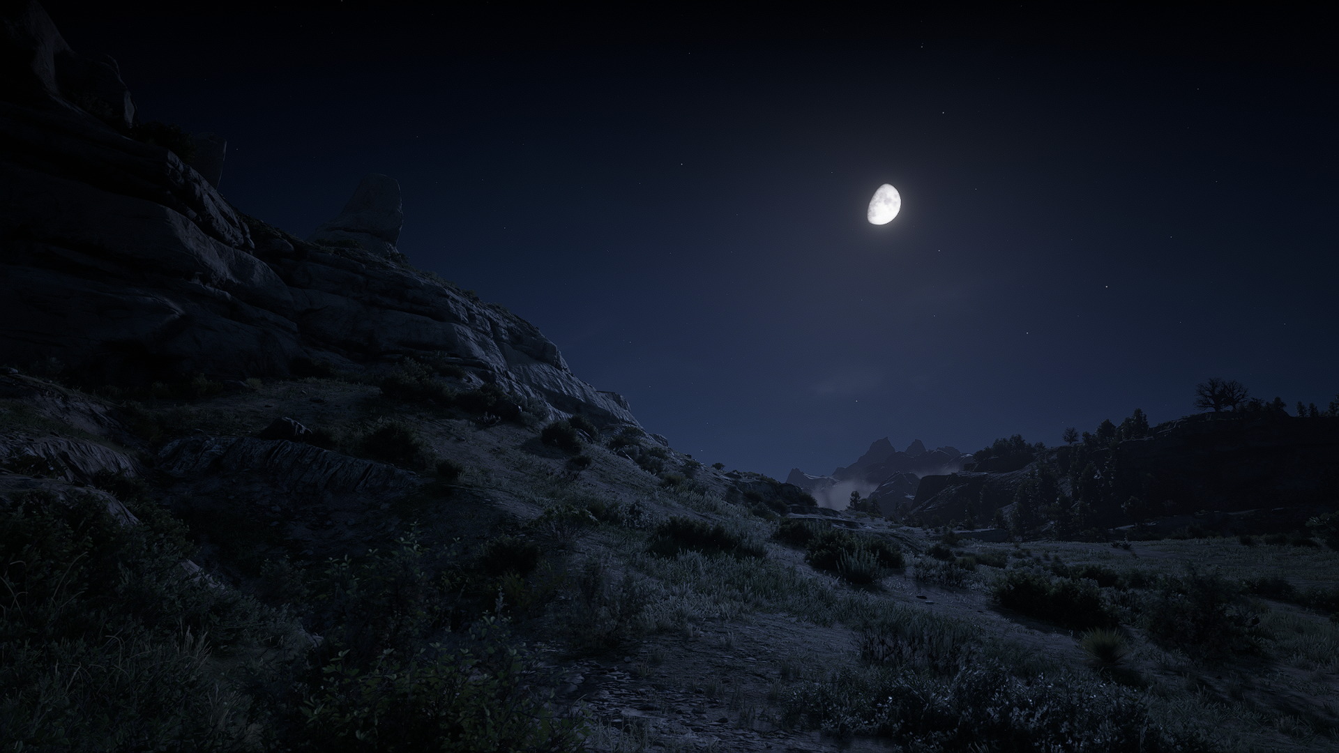 Red Dead Redemption 2 Night Moonlight Nature Landscape Screen Shot Foliage 1920x1080
