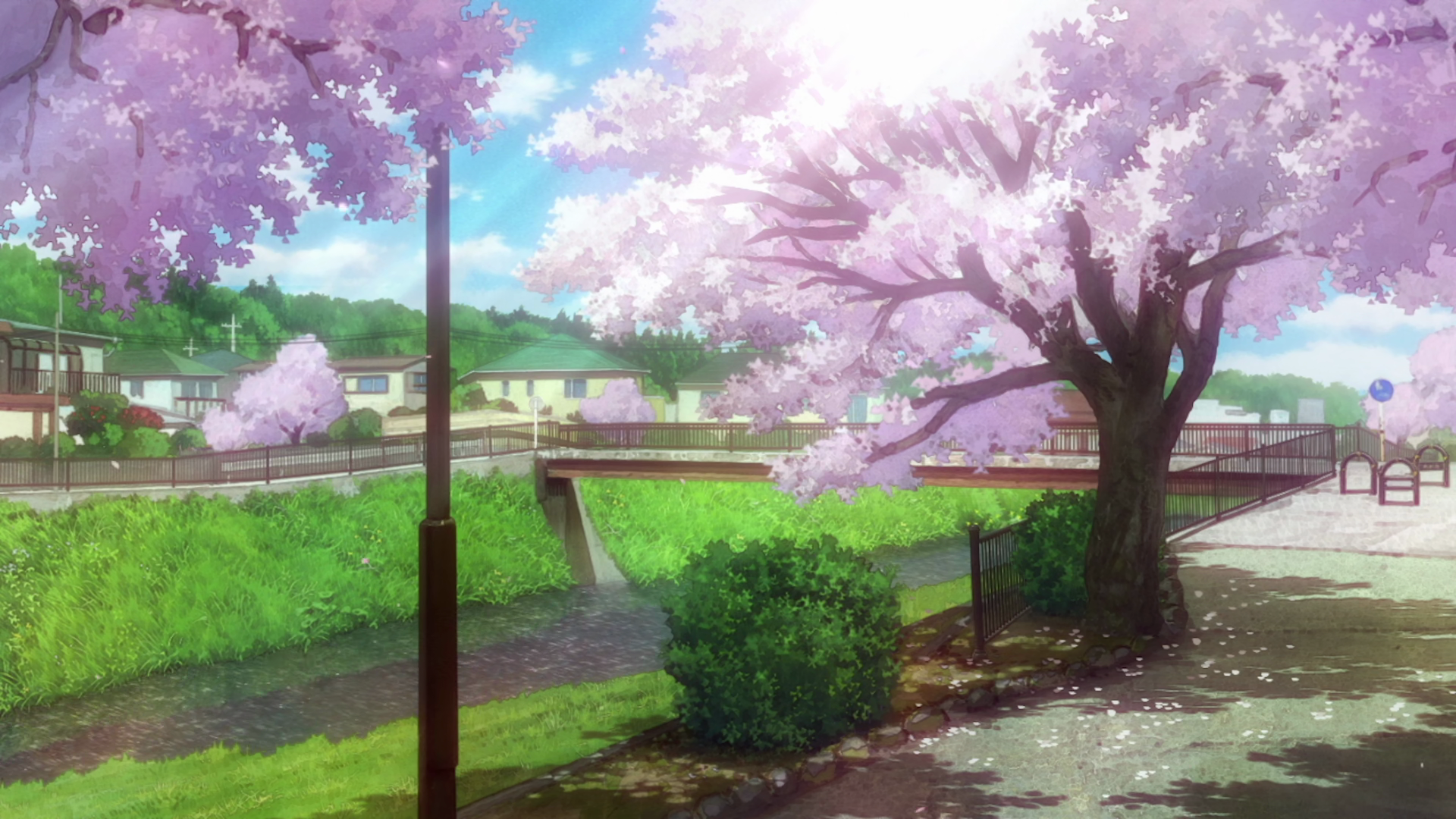 New Game Anime Shots Cherry Blossom Sakura Tree Wallpaper -  Resolution:1920x1080 - ID:1271667 
