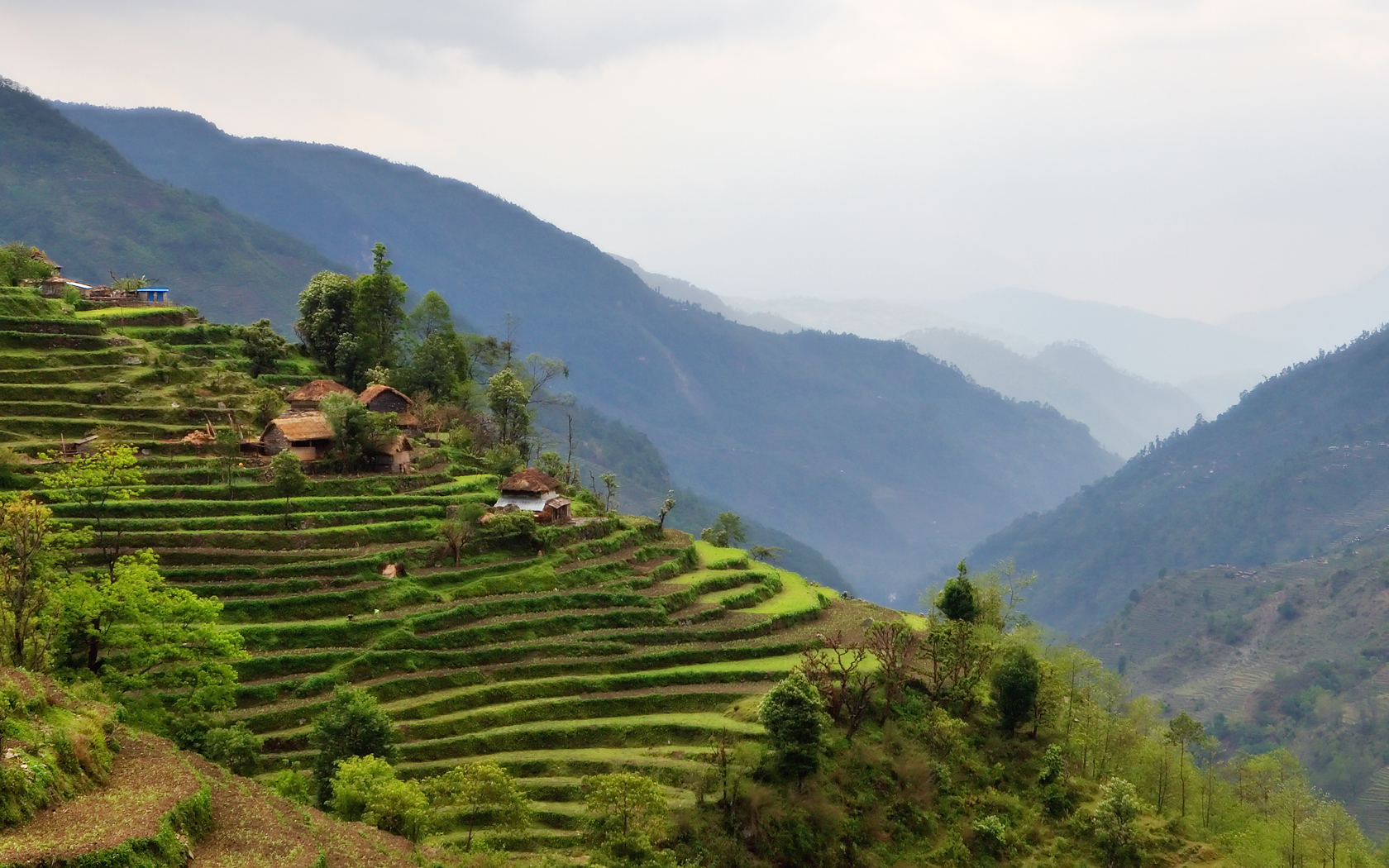 Nepal Rice Terrace Annapurna Landscape Farming 1680x1050