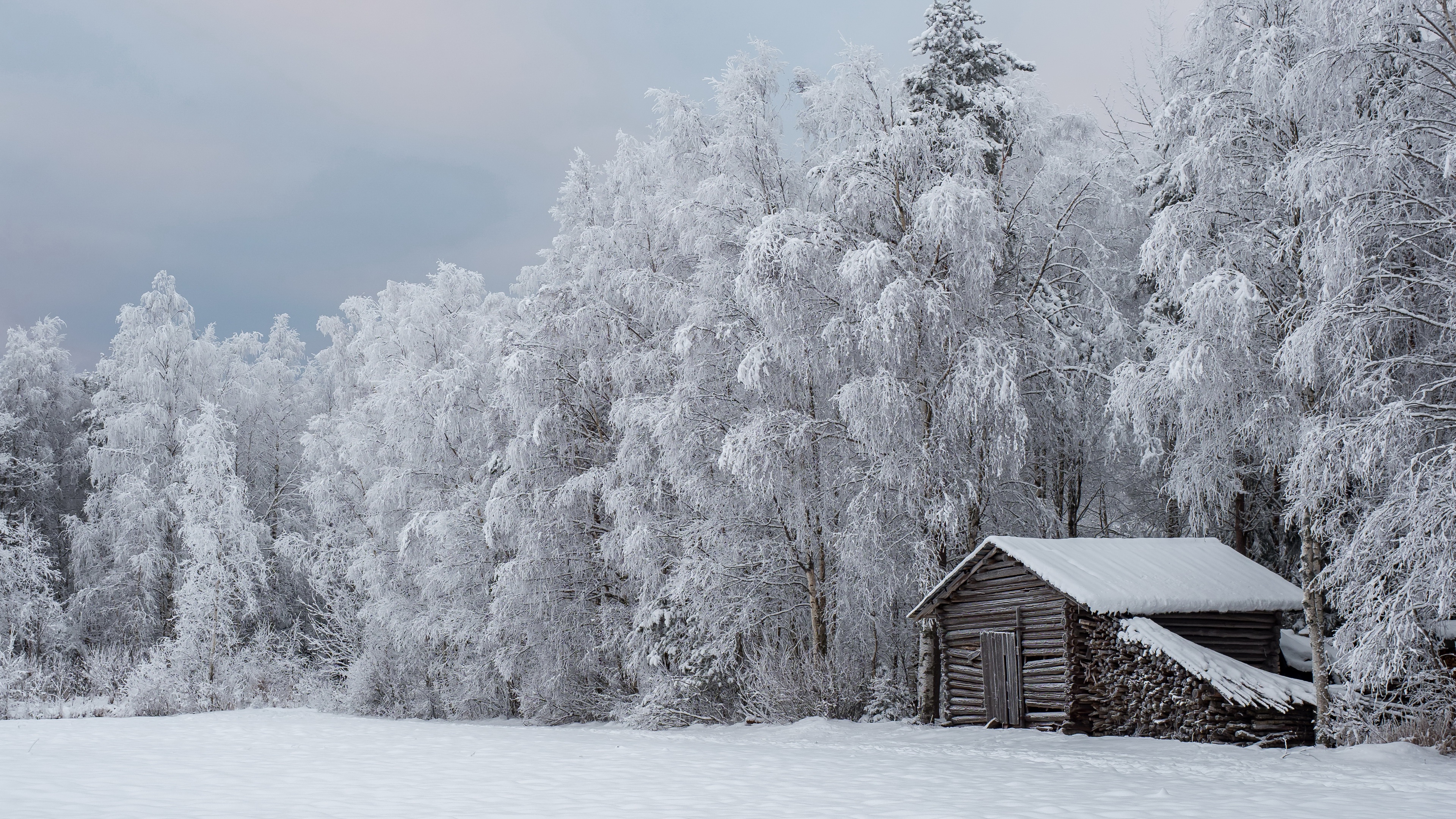Nature Winter Ice Snow Cold Outdoors Trees Hut 3840x2160