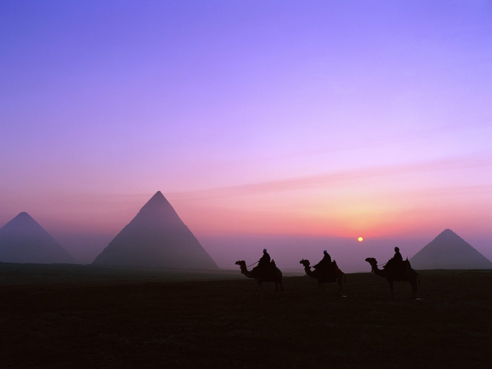 Dusk Sunset Pyramid Camels Clear Sky Desert 1600x1200